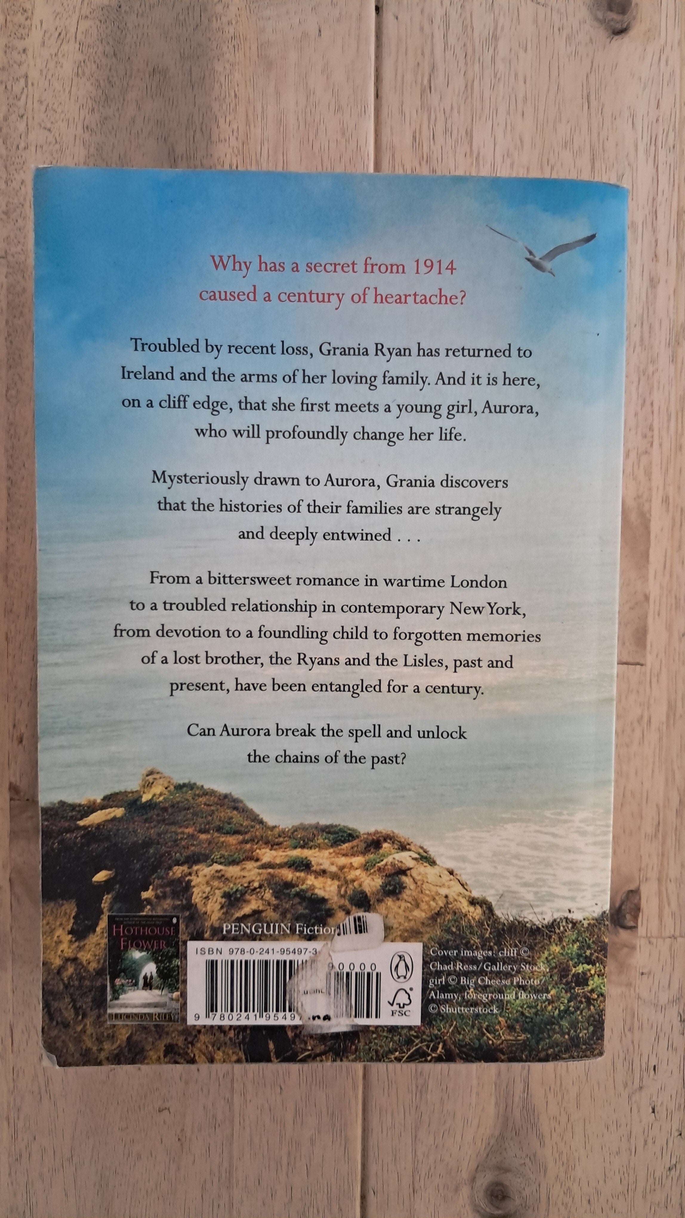The Girl on the Cliff – Lucinda Riley