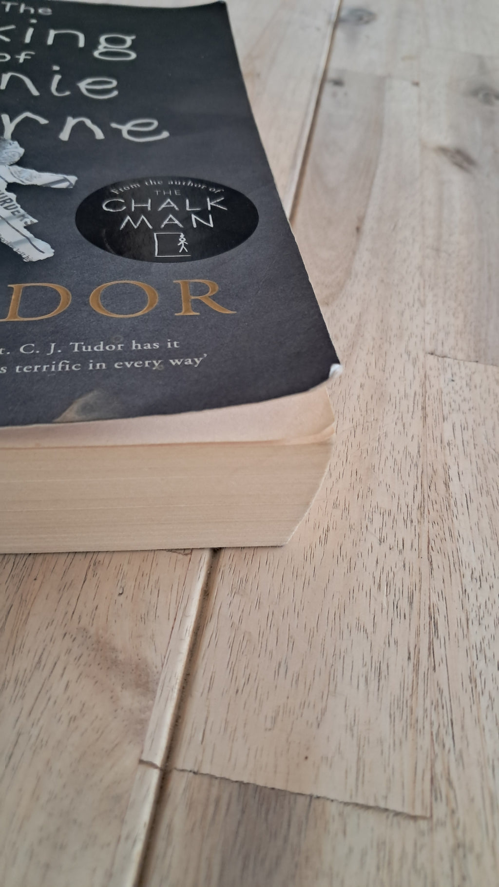 The Taking of Annie Thorne – C.J. Tudor