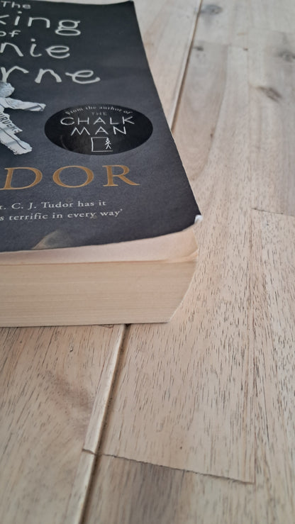 The Taking of Annie Thorne – C.J. Tudor