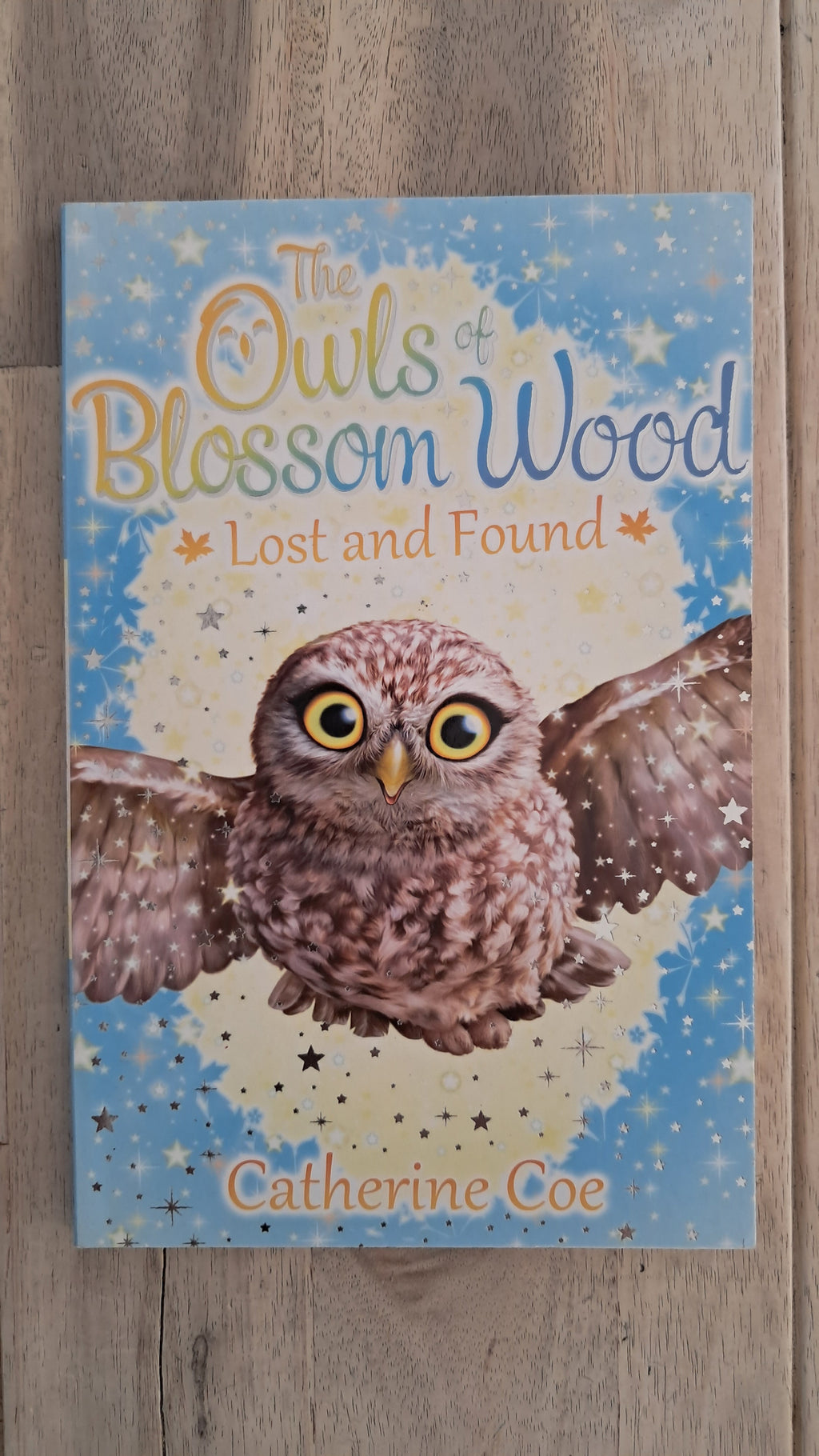 The Owls of Blossom Wood: Lost and Found – Catherine Coe