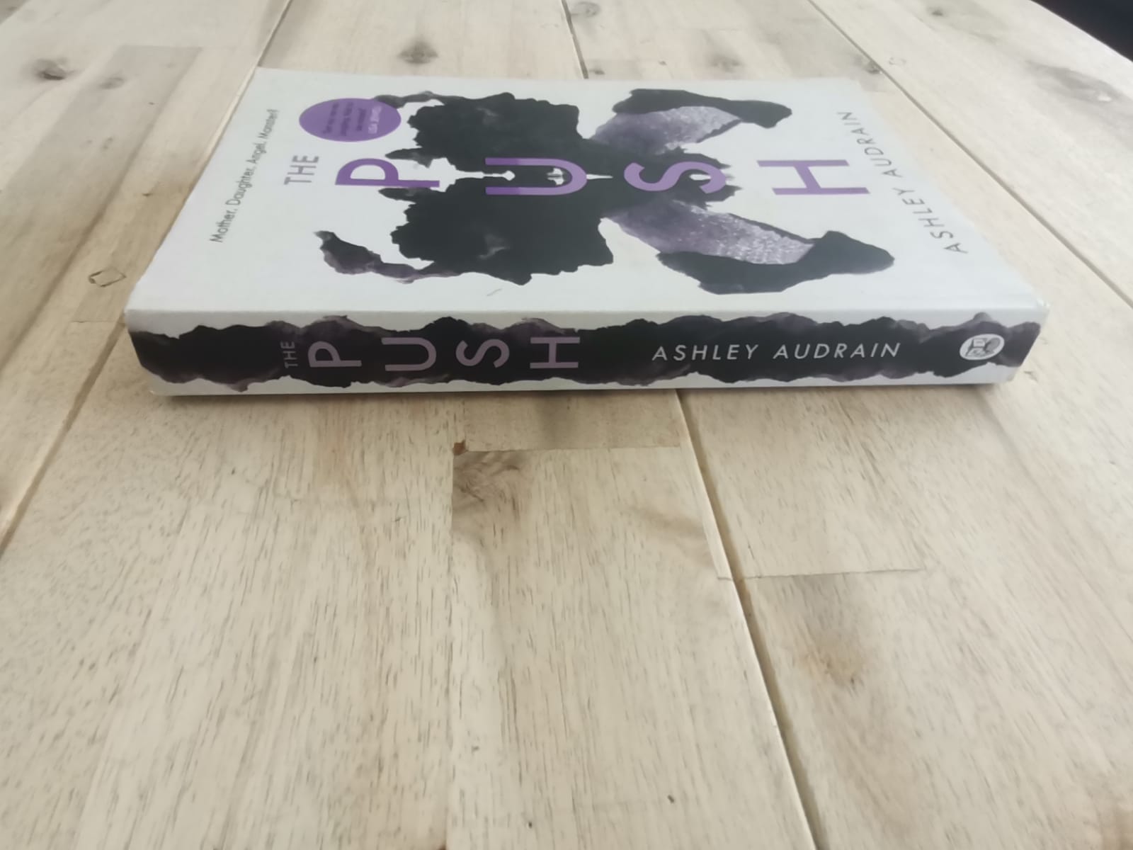 The Push – Ashley Audrain