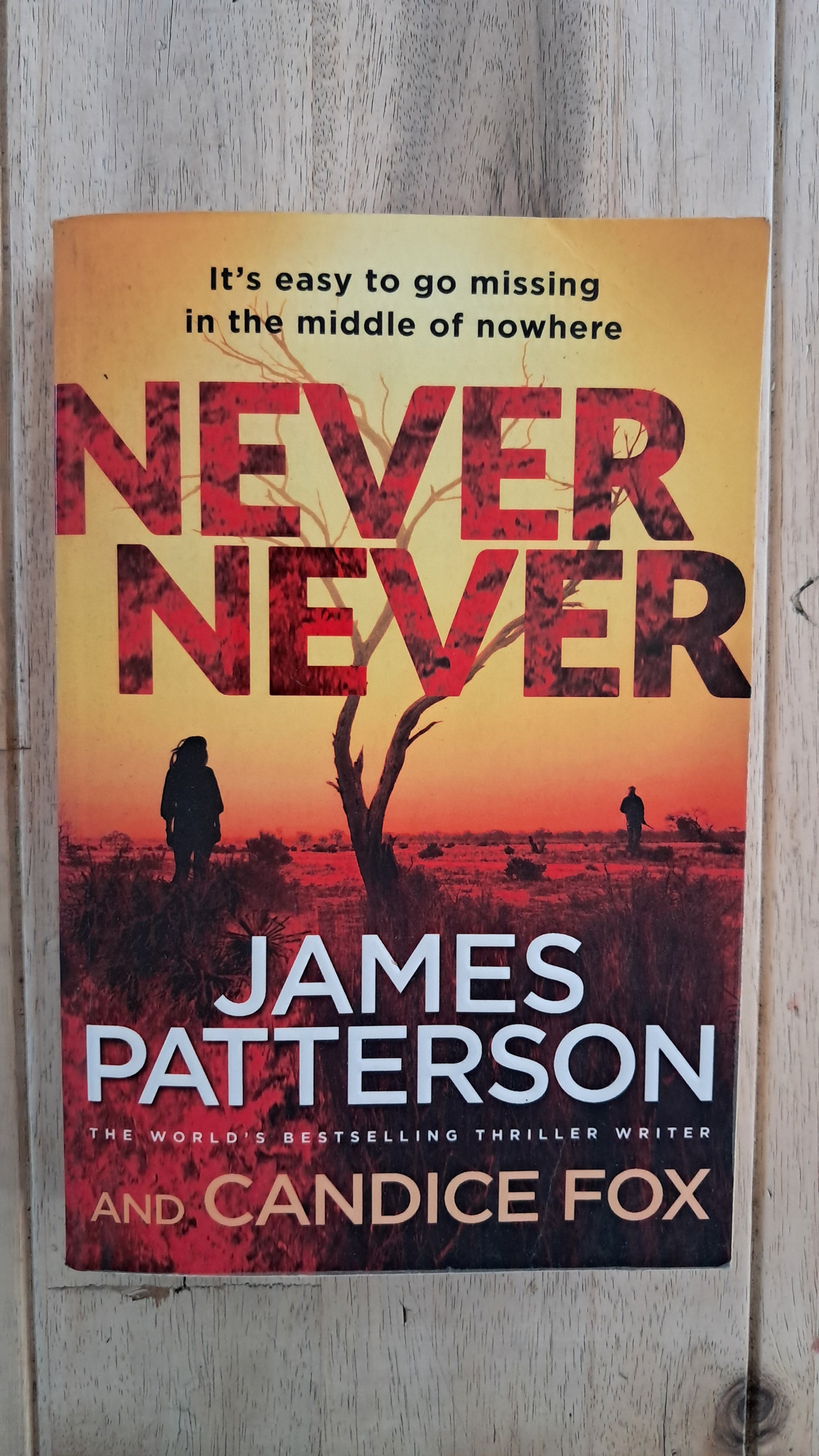 Never Never – James Patterson & Candice Fox