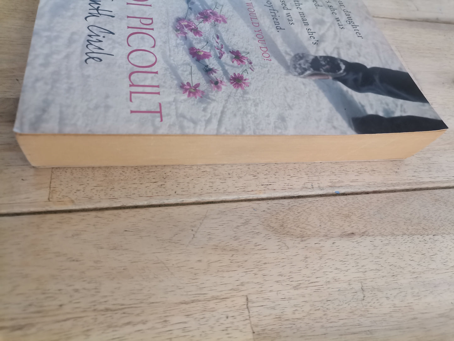 The Tenth Circle by Jodi Picoult