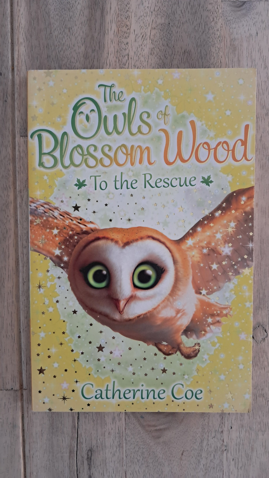 The Owls Of Blossom Wood: To the Rescue – Catherine Coe