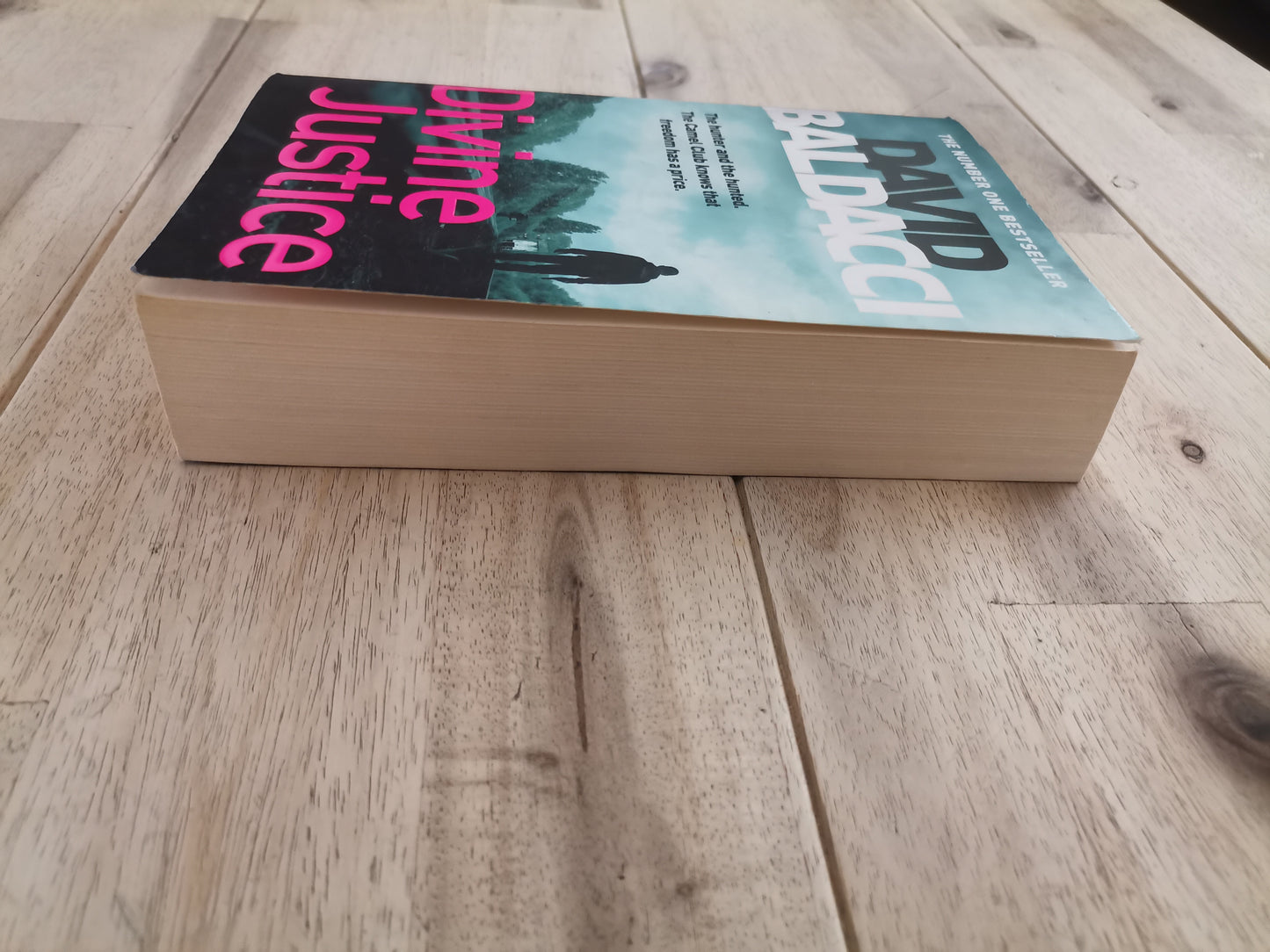 Divine Justice – David Baldacci