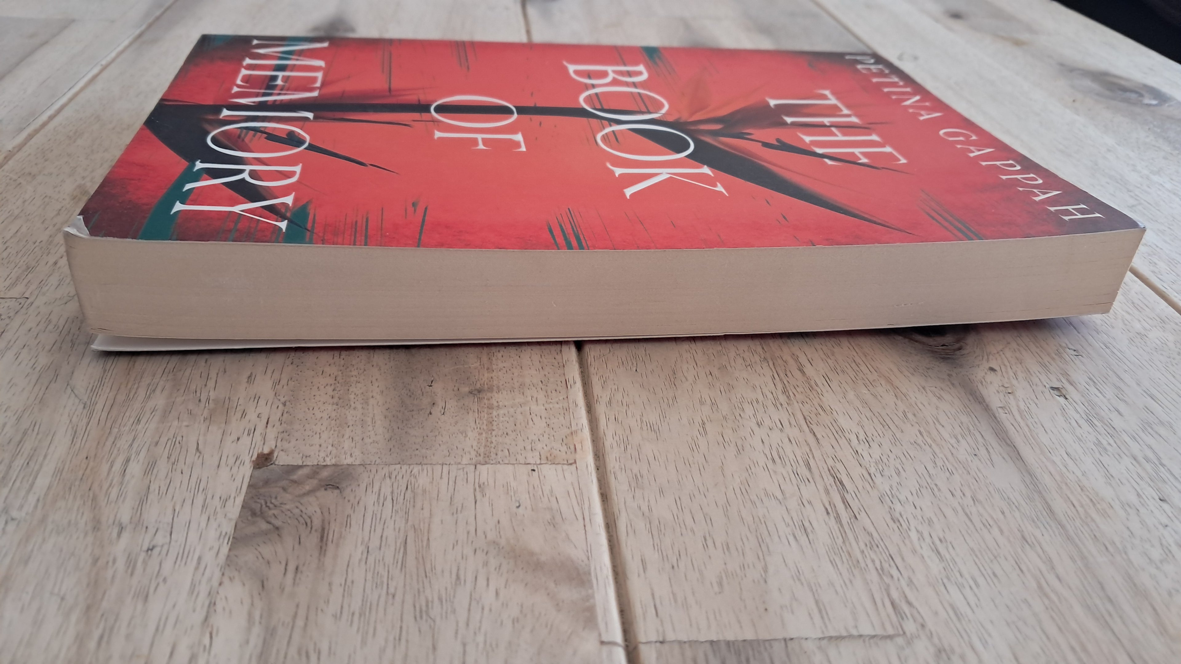The Book of Memory – Petina Gappah