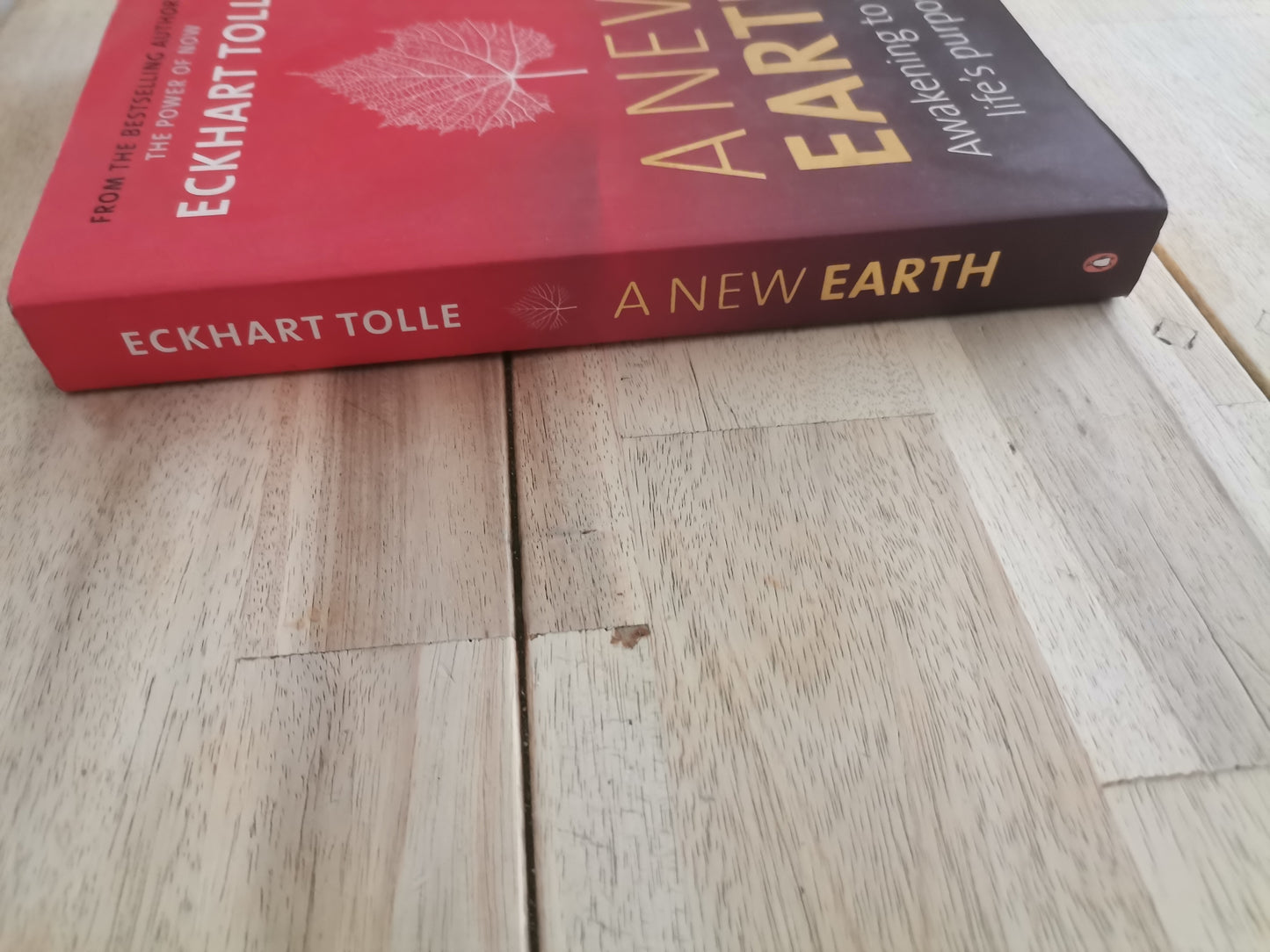 A New Earth by Eckhart Tolle