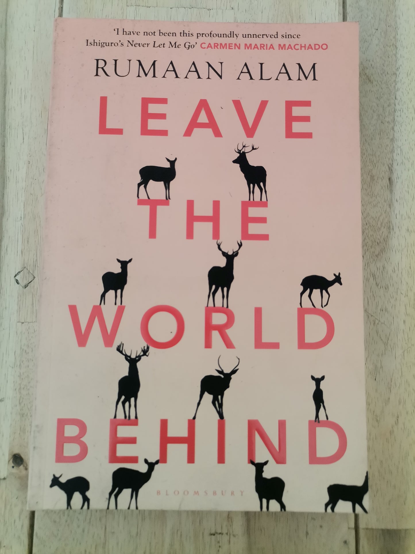 Leave The World Behind by Rumaan Alam