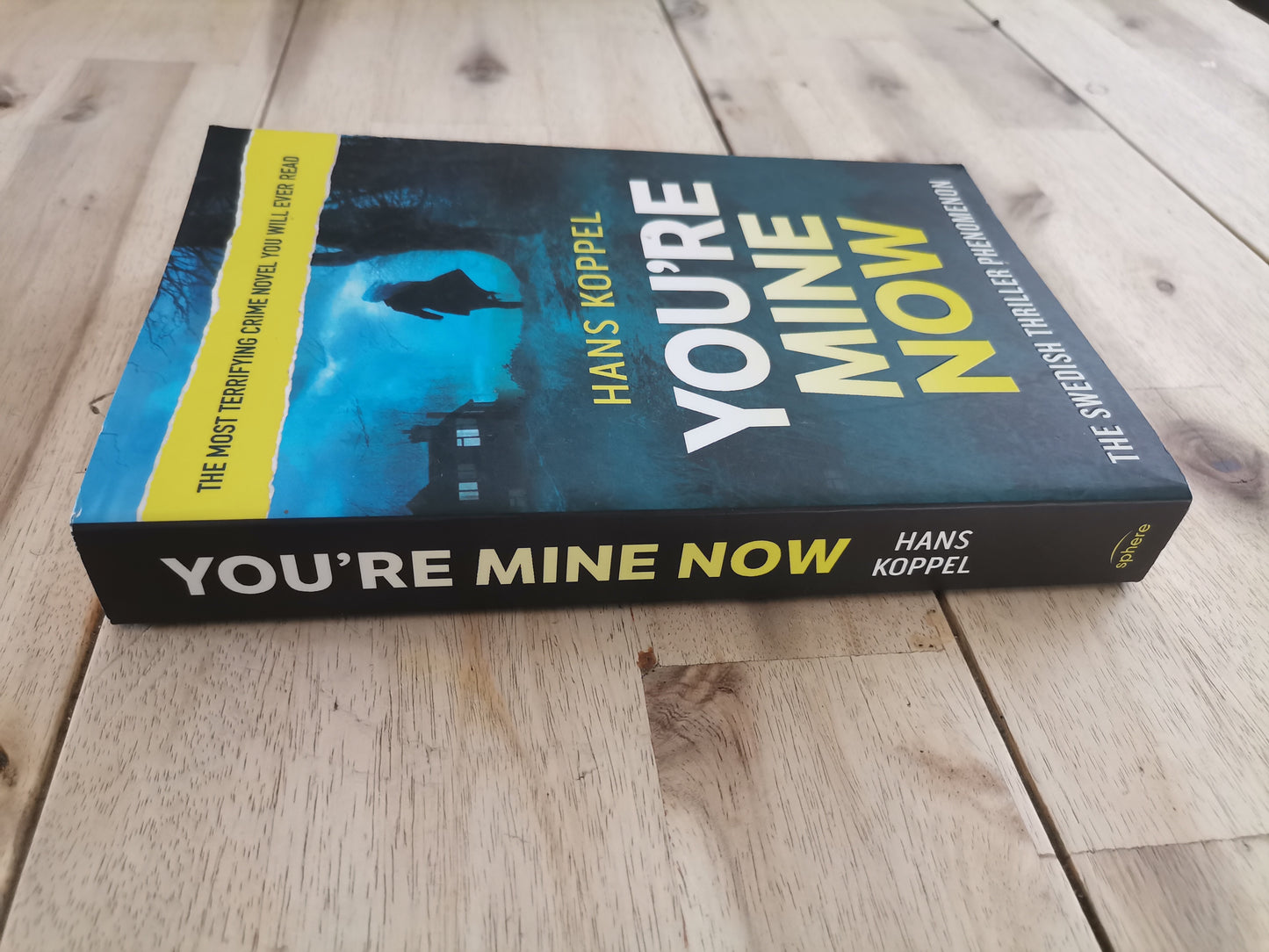 You're Mine Now – Hans Koppel