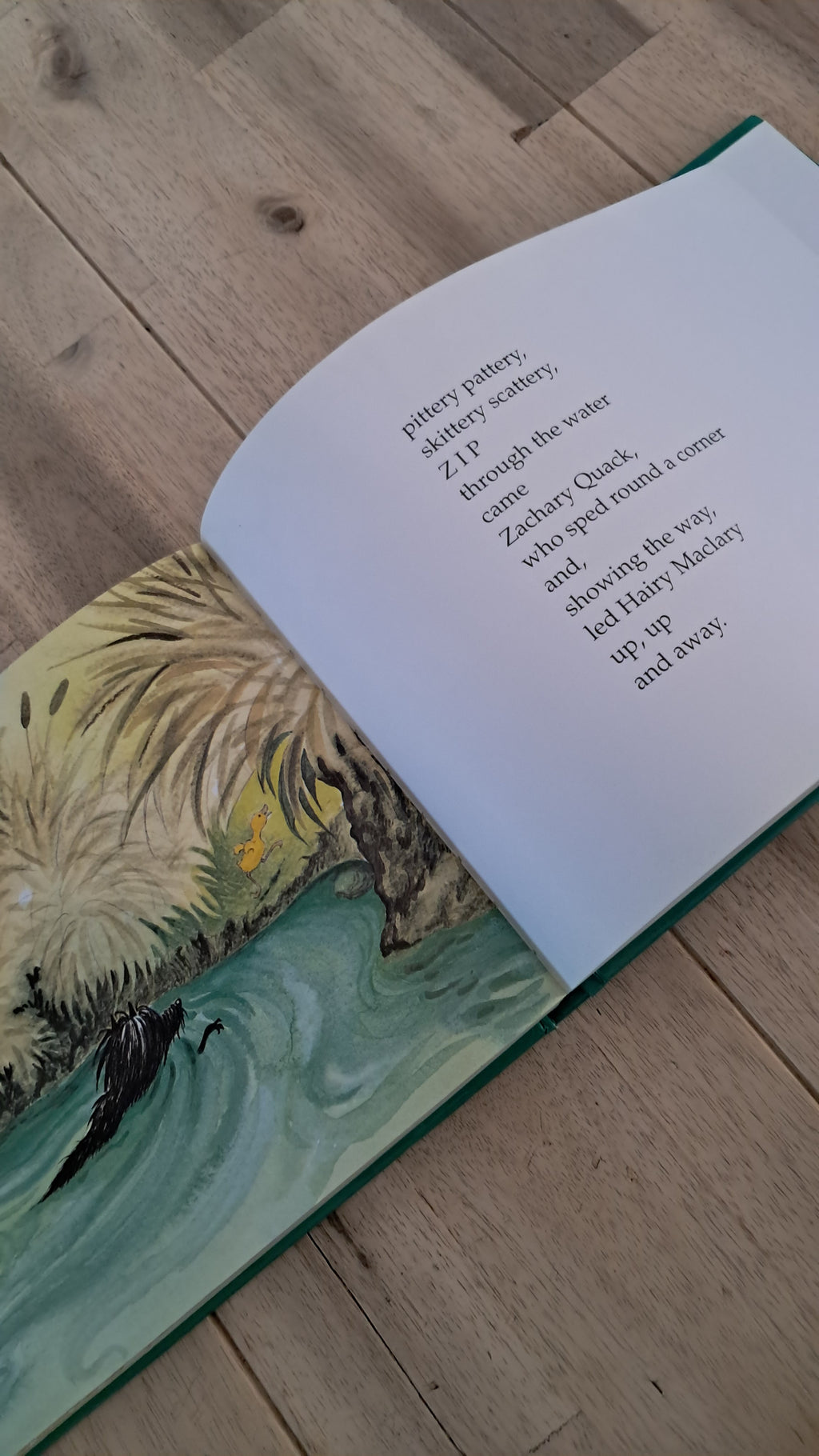 Hairy Maclary and Friends: 5 More Lynley Dodd Stories – Lynley Dodd