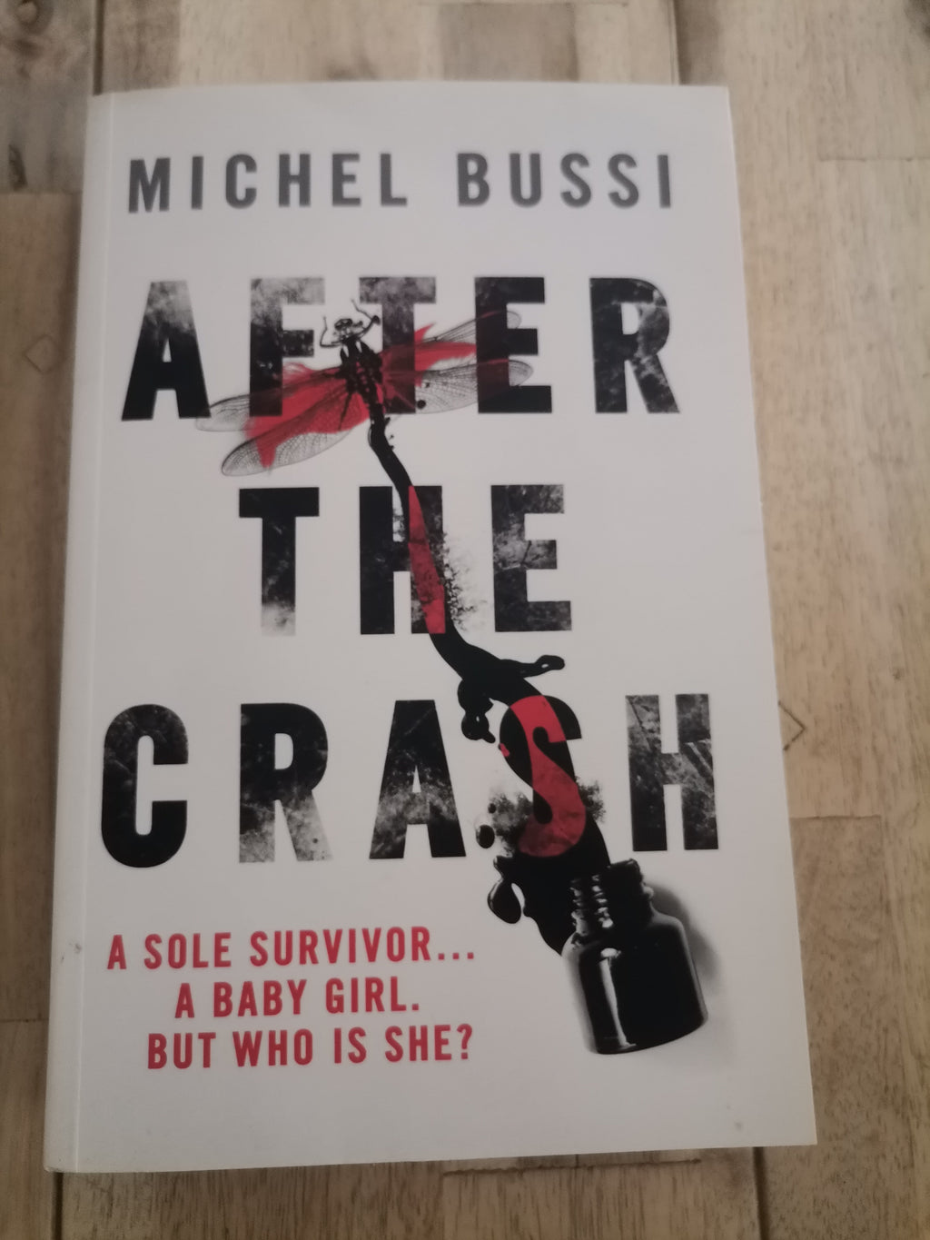 After the Crash by Michel Bussi