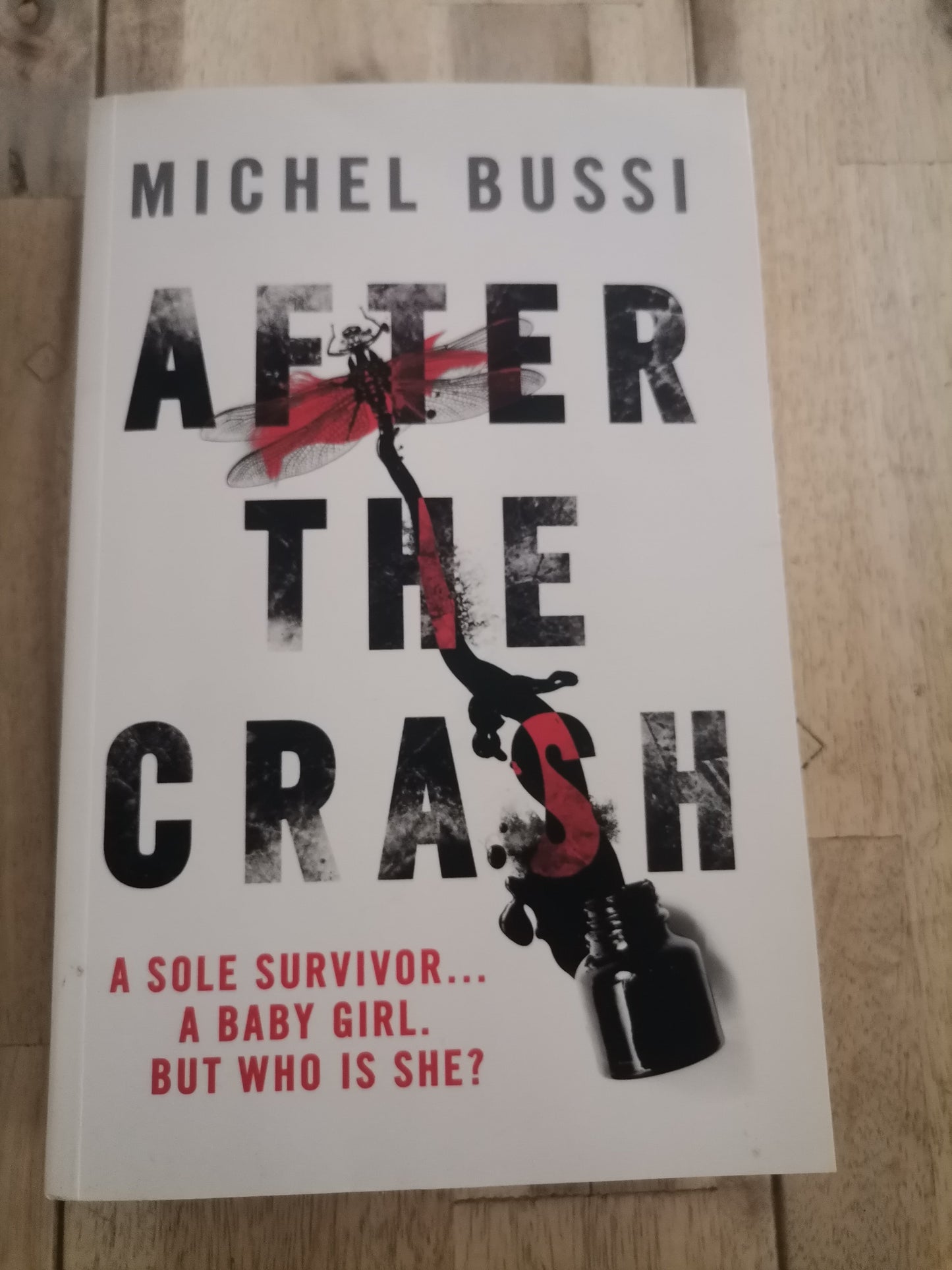 After the Crash by Michel Bussi