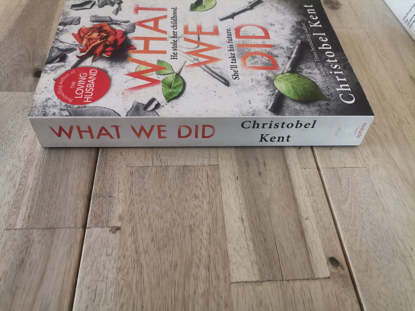 What We Did by Christobel Kent