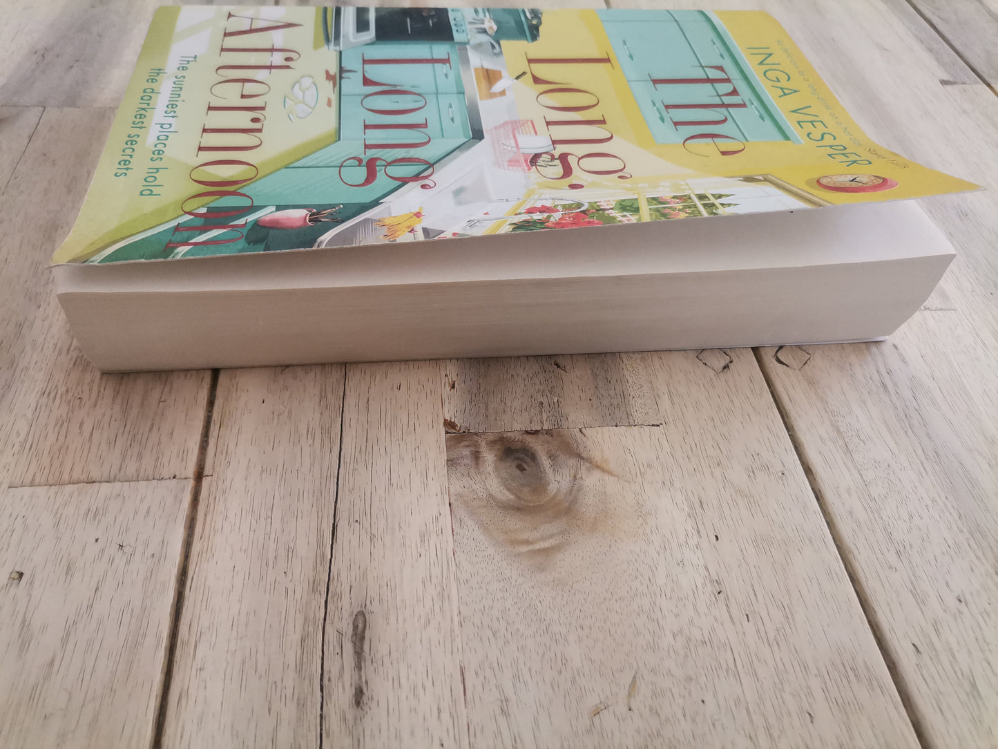The Long, Long Afternoon by Inga Vesper