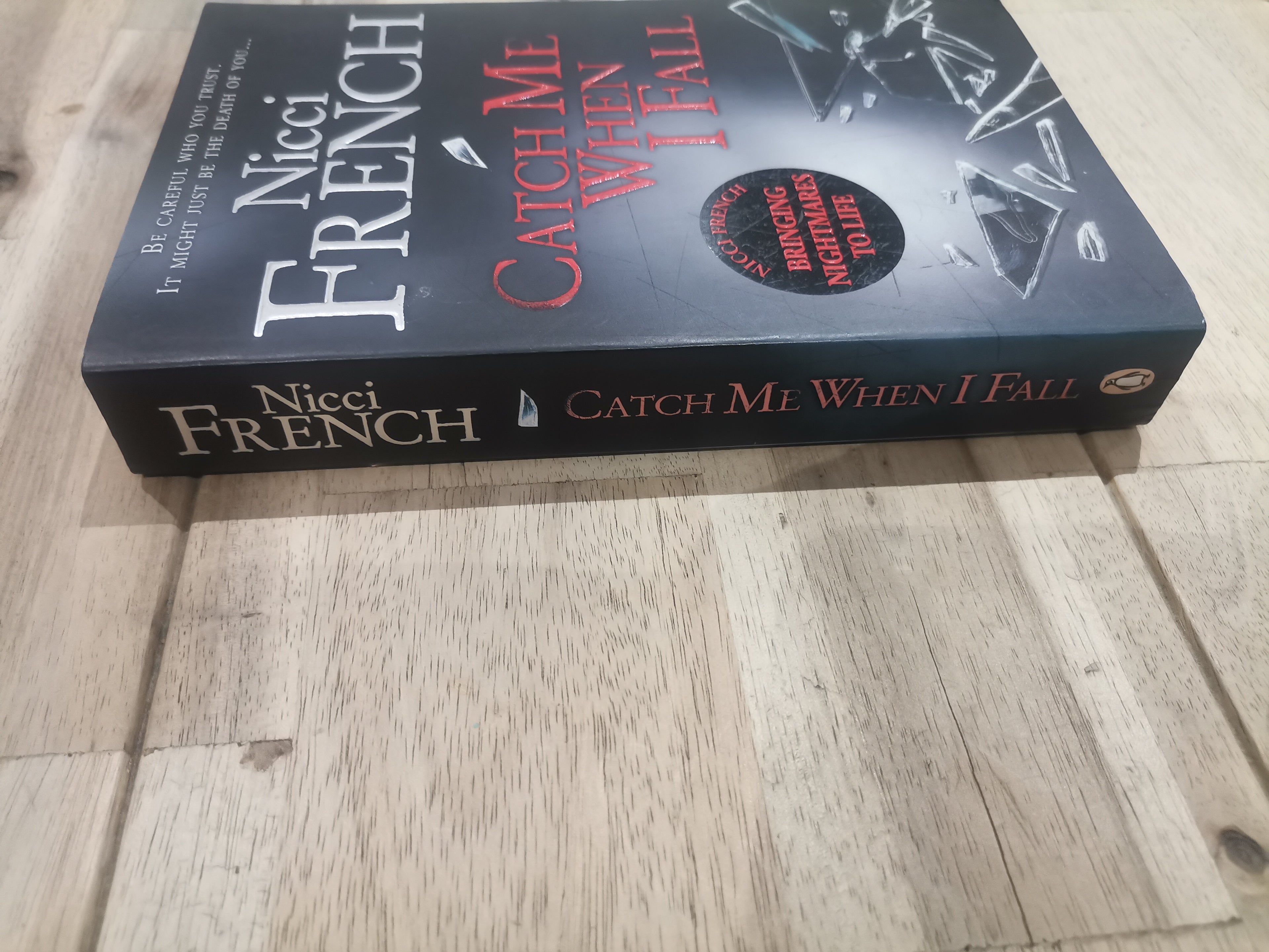 Catch Me When I Fall by Nicci French