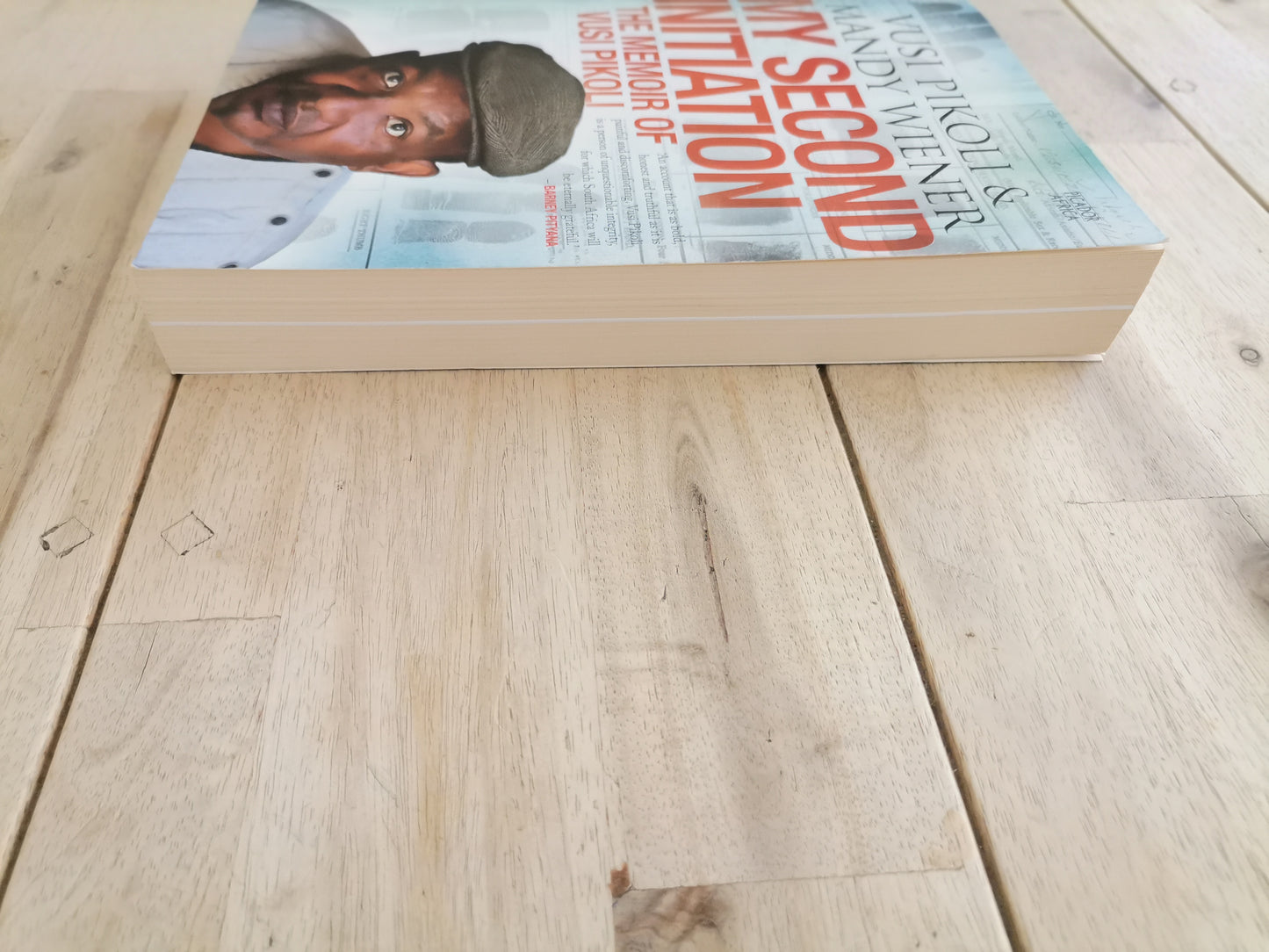 My Second Initiation by Vusi Pikoli