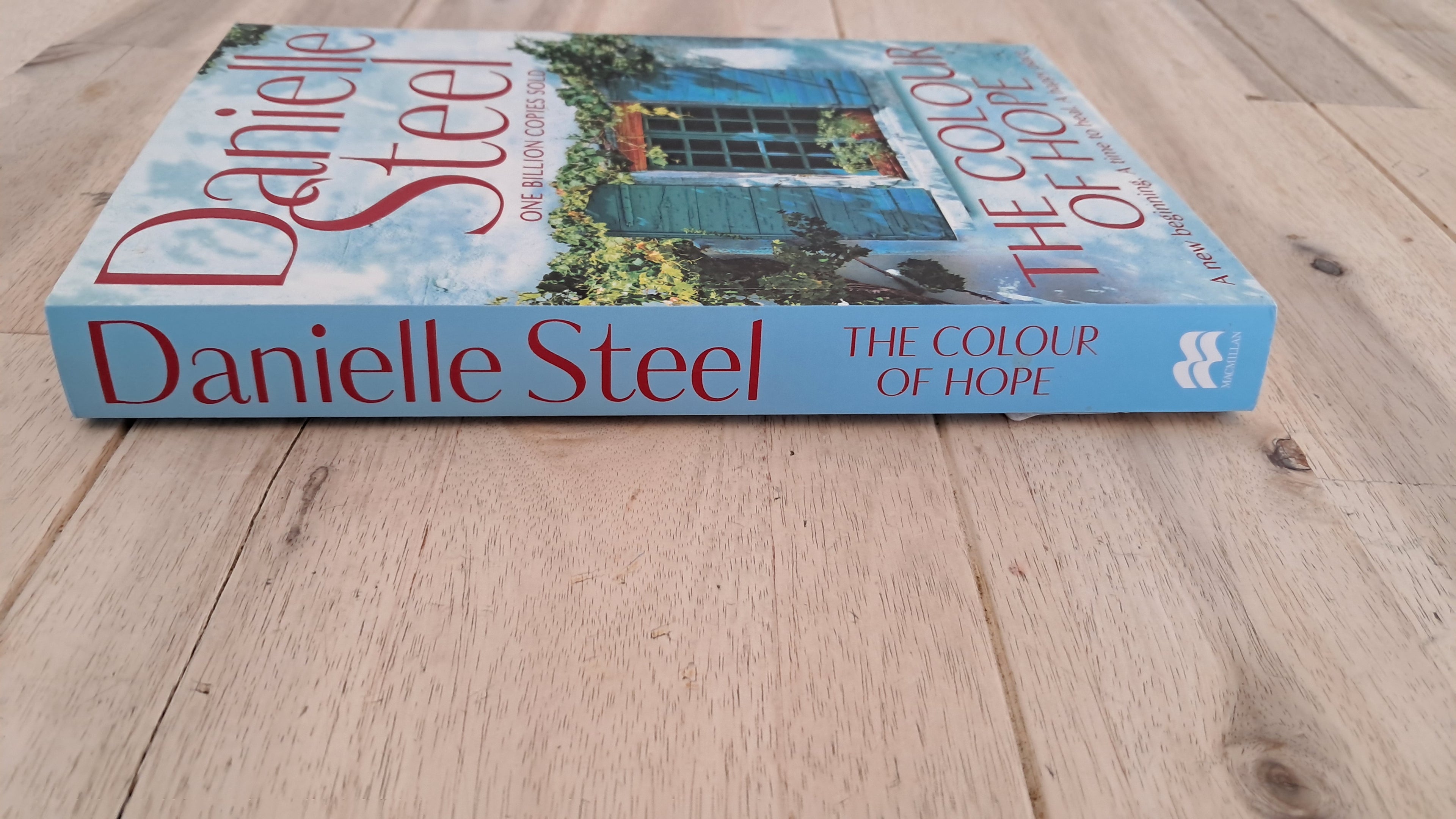 The Colour of Hope – Danielle Steel