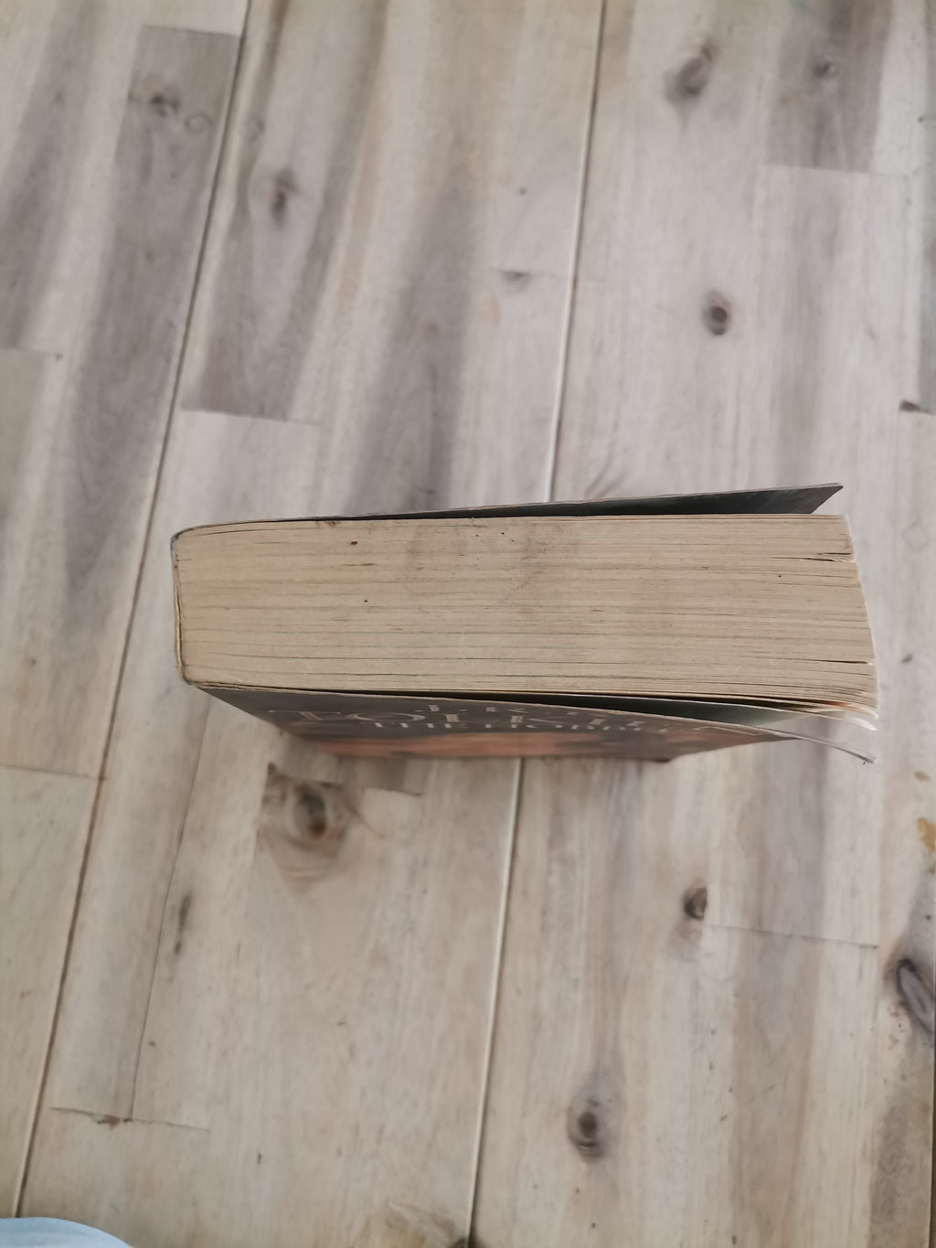 The Hobbit — J.R.R. Tolkien
