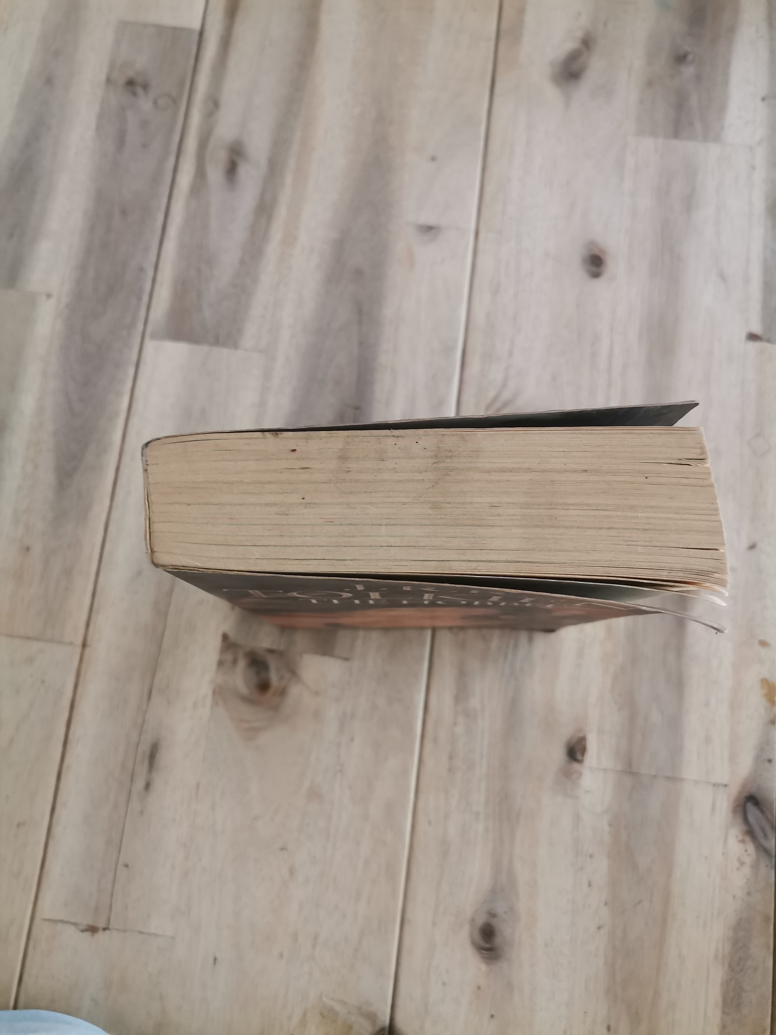 The Hobbit — J.R.R. Tolkien