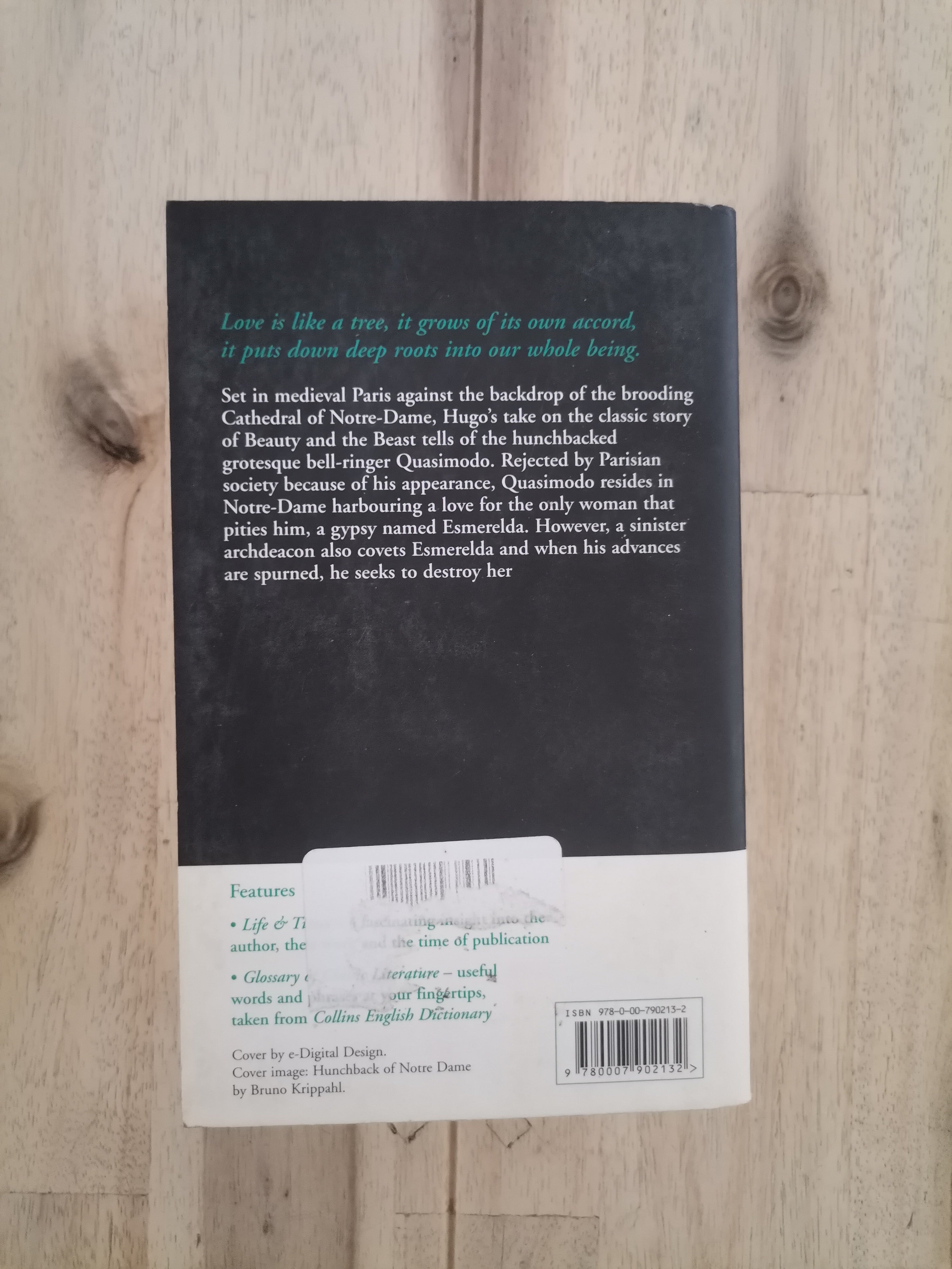 The Hunchback of Notre Dame – Victor Hugo