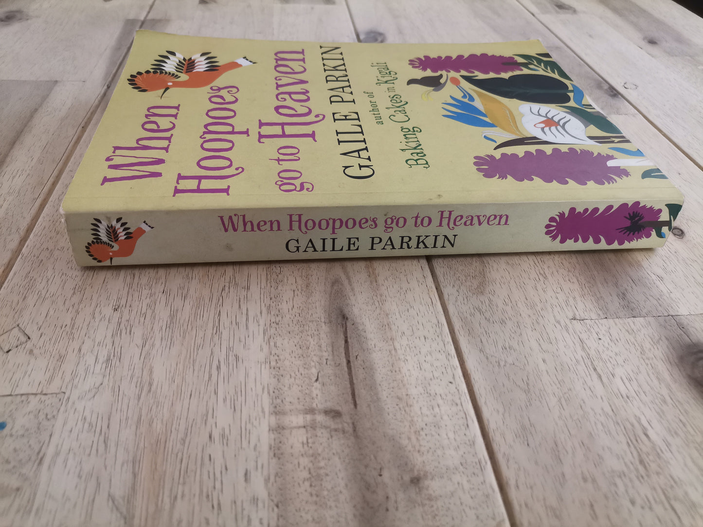 When Hoopoes Go to Heaven – Gaile Parkin