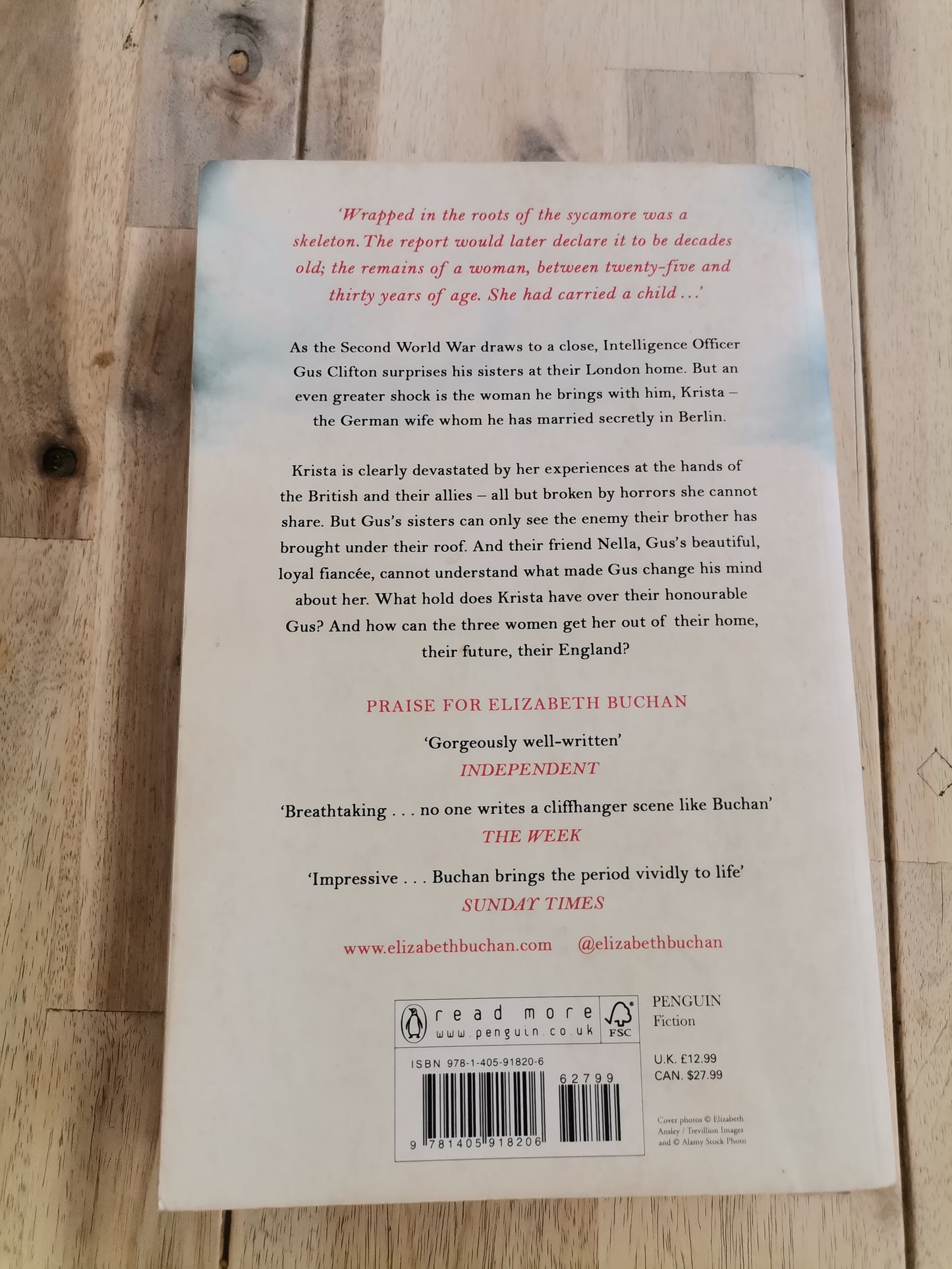 The New Mrs Clifton by Elizabeth Buchan