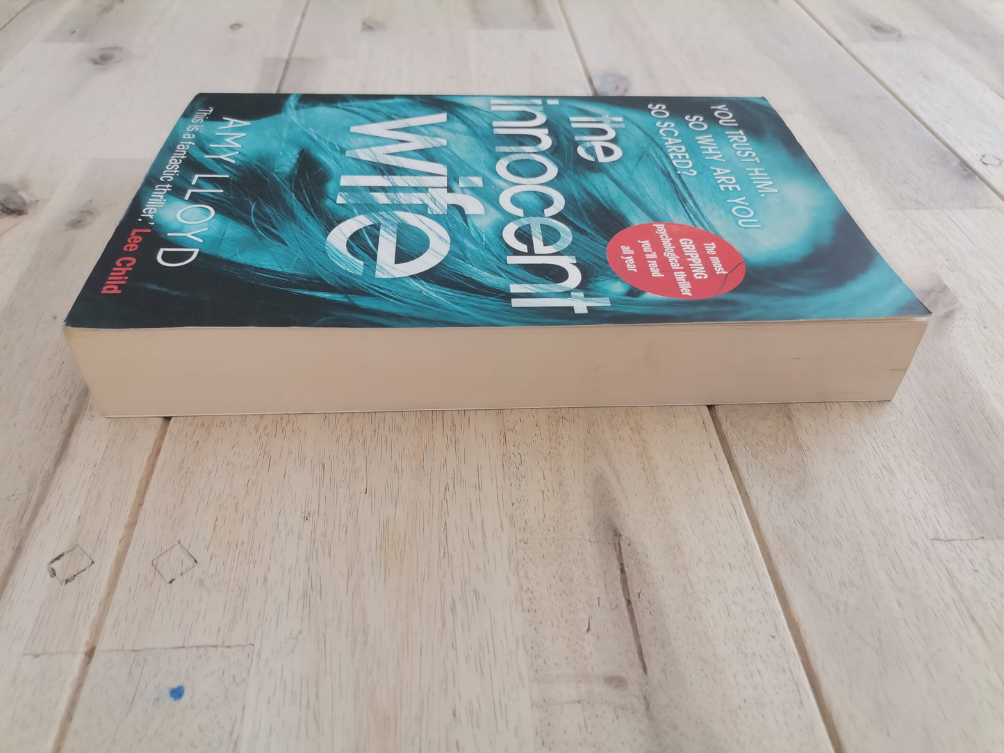 The Innocent Wife – Amy Lloyd