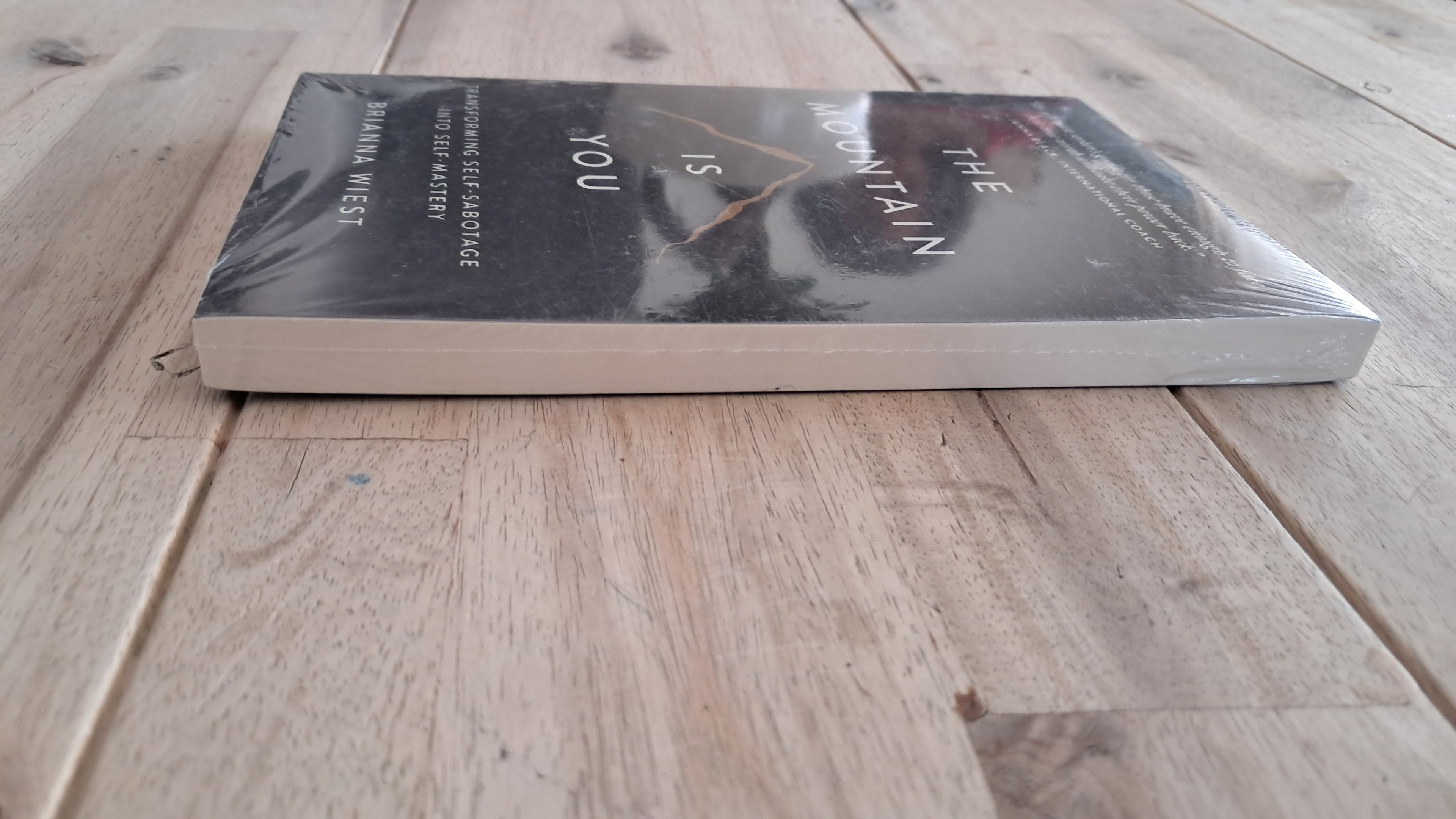 The Mountain Is You – Brianna West