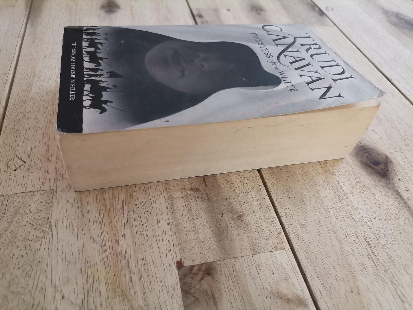 Priestess of the White – Trudi Canavan