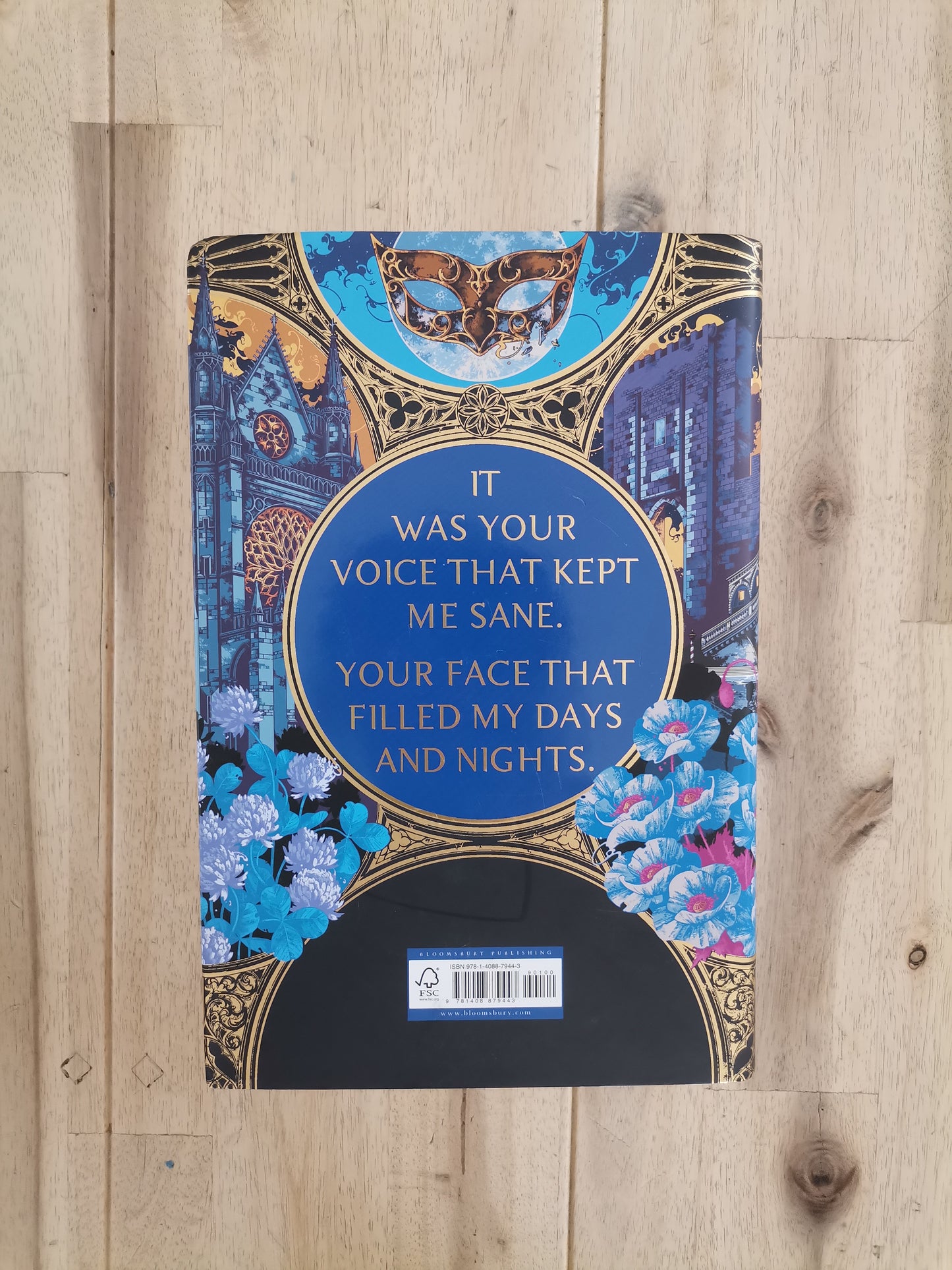 The Dark Mirror – Samantha Shannon