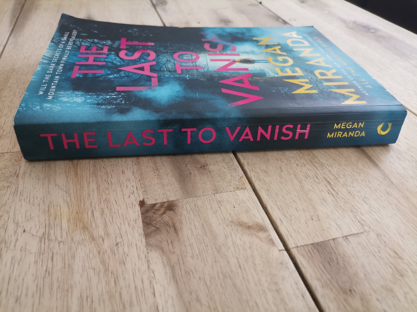 The Last to Vanish – Megan Miranda