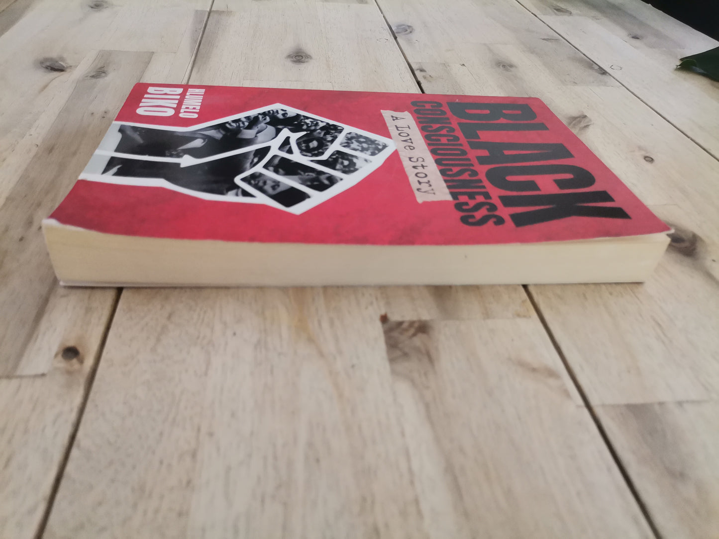 Black Consciousness: A Love Story – Hlumelo Biko