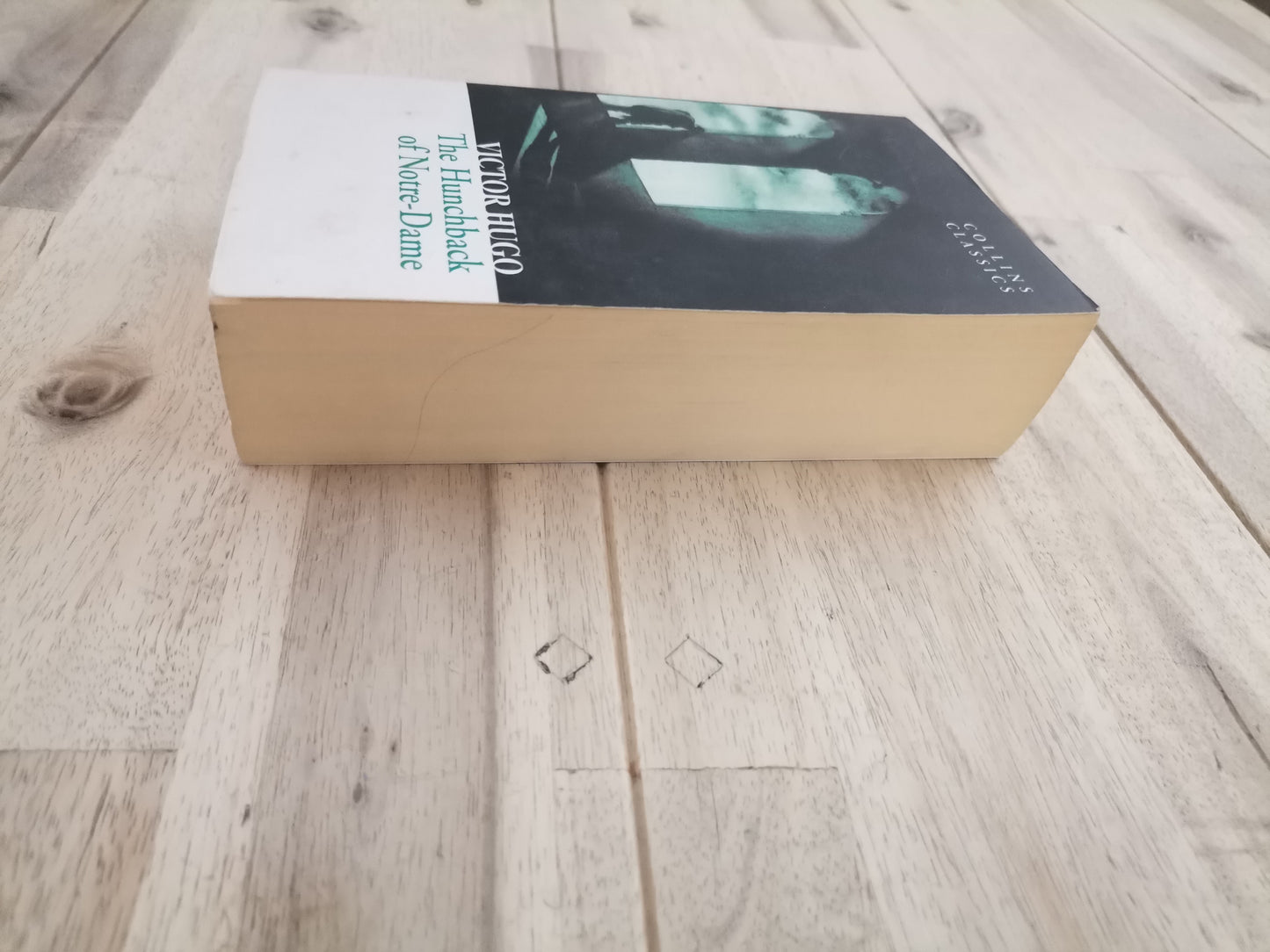 The Hunchback of Notre Dame – Victor Hugo