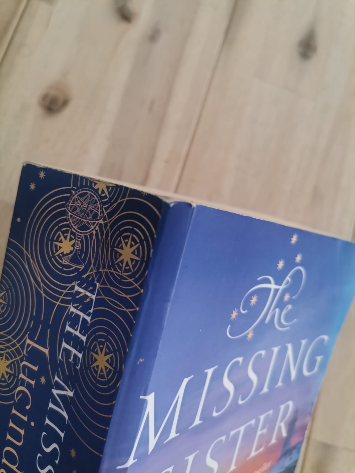 The Missing Sister – Lucinda Riley