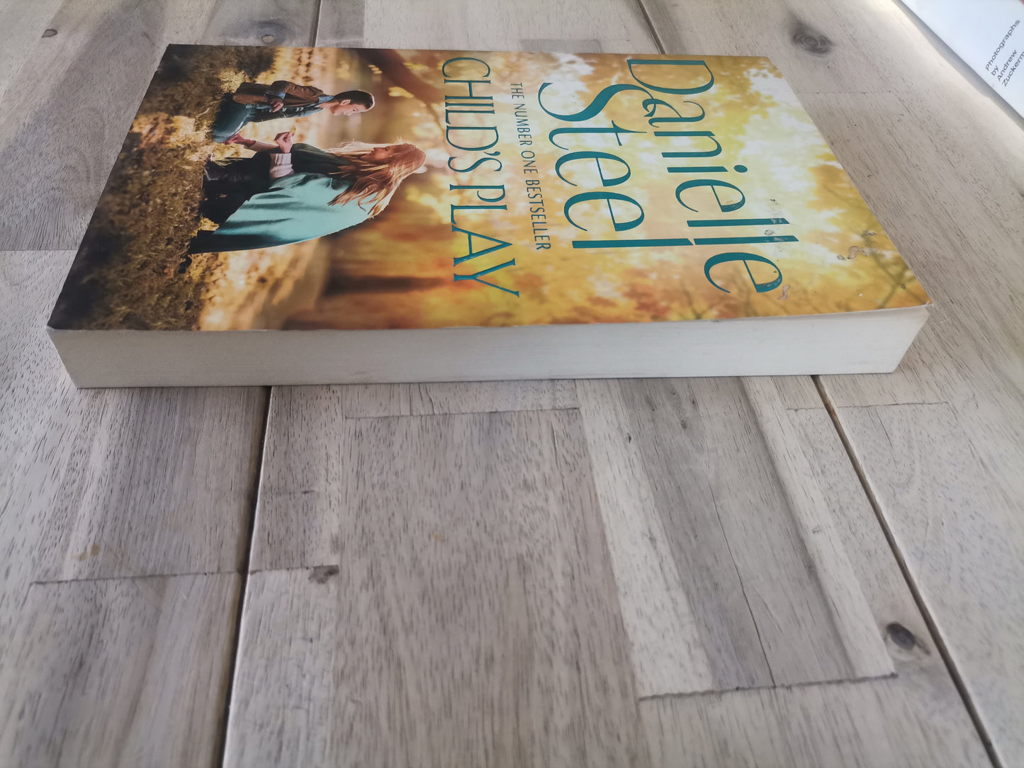 Child's Play by Danielle Steel