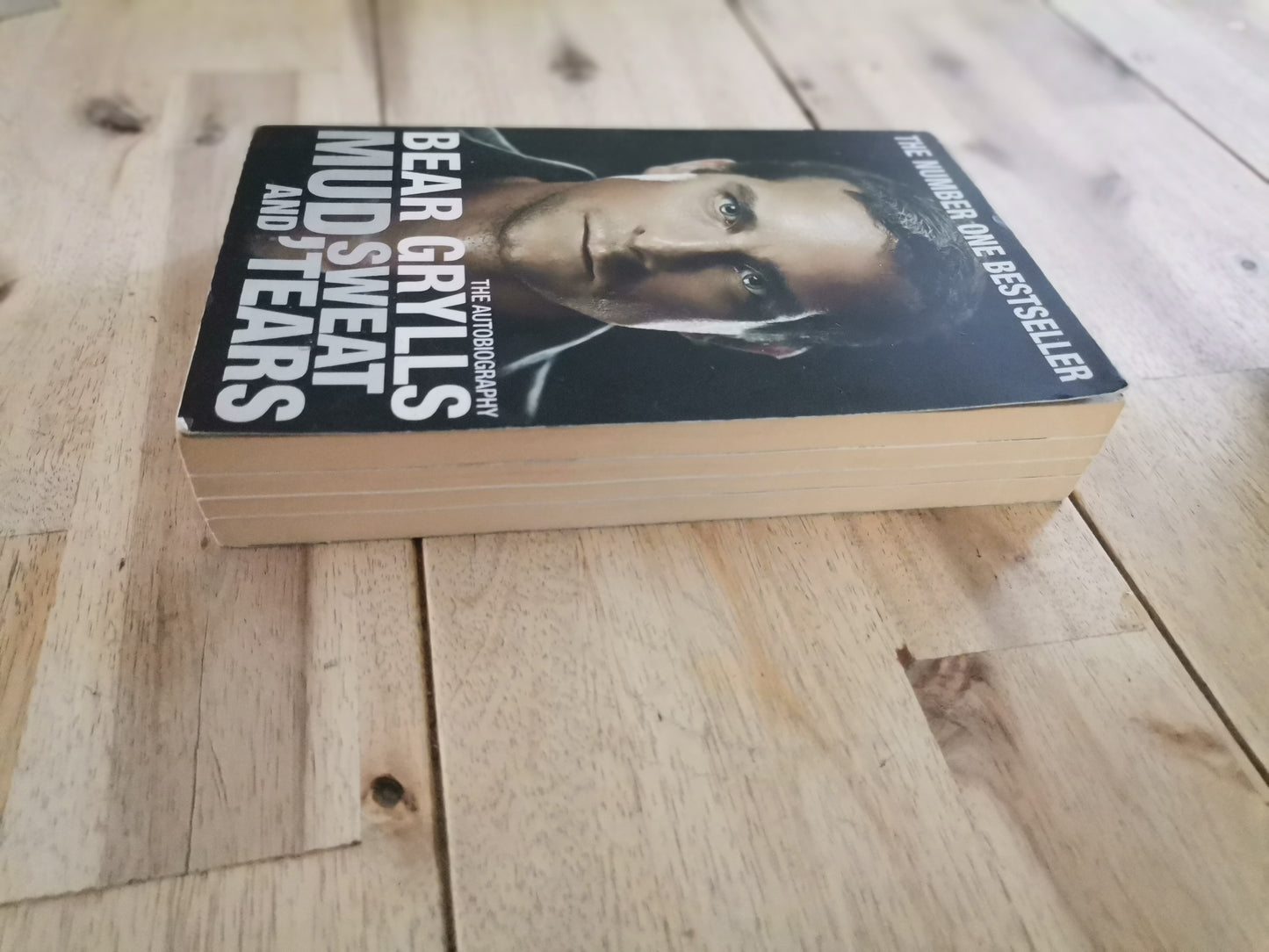 Mud, Sweat and Tears – Bear Grylls