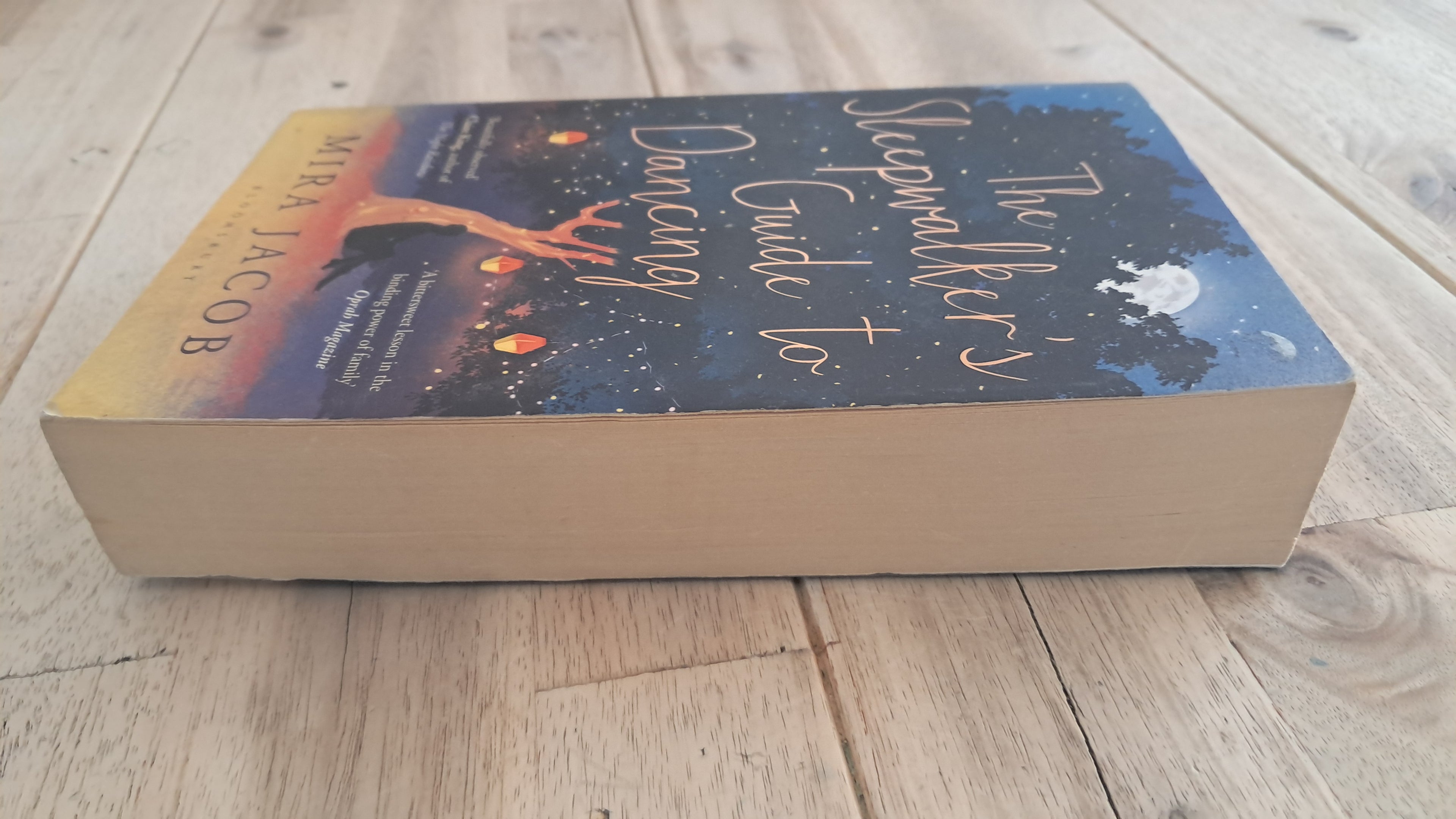 The Sleepwalker's Guide to Dancing – Mira Jacob