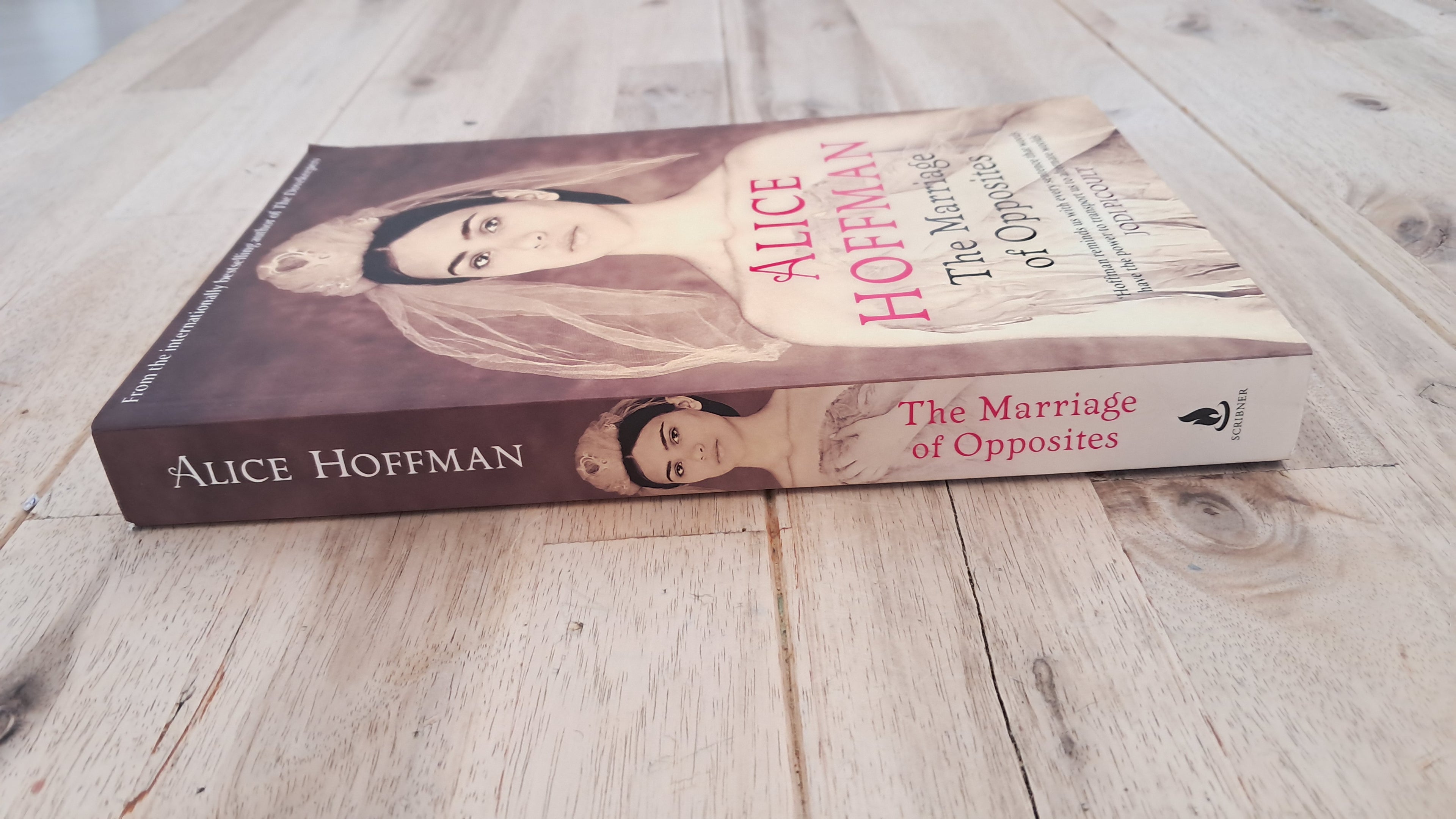 The Marriage of Opposites – Alice Hoffman