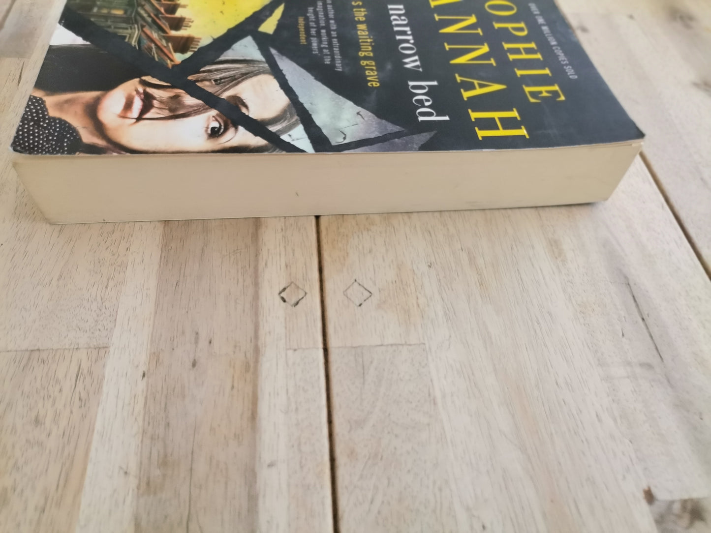 The Narrow Bed by Sophie Hannah