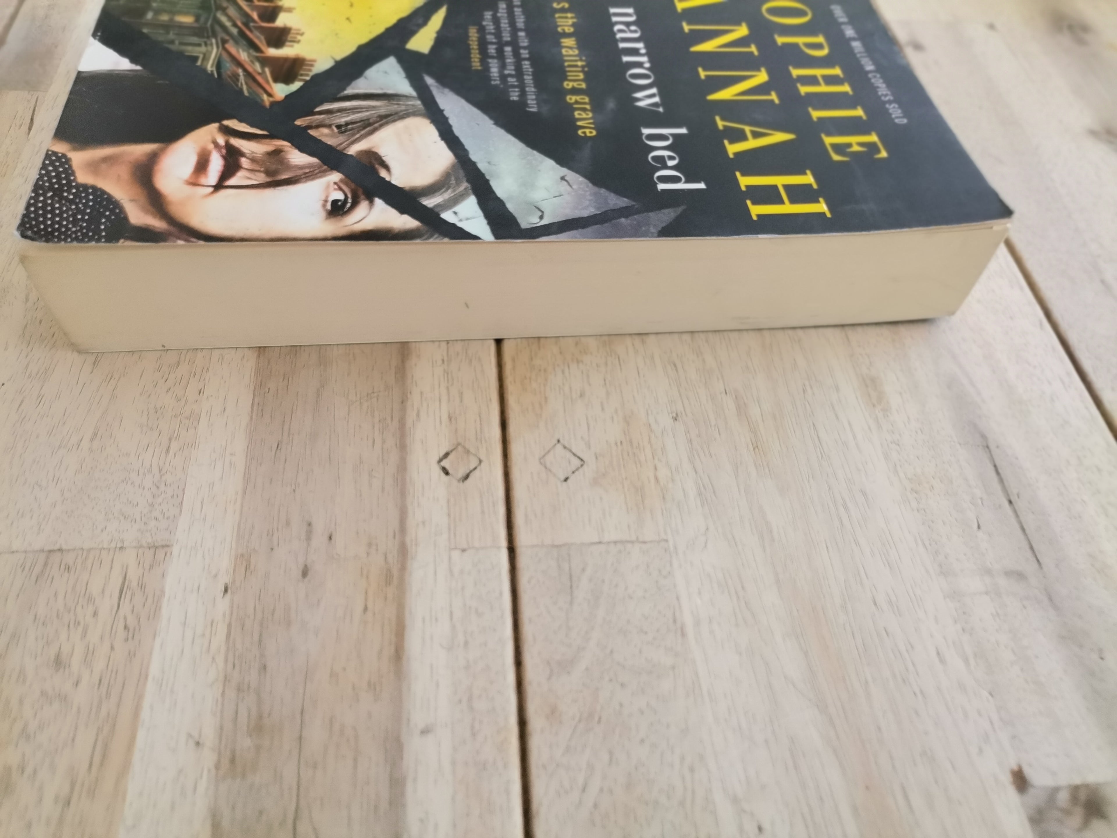The Narrow Bed by Sophie Hannah