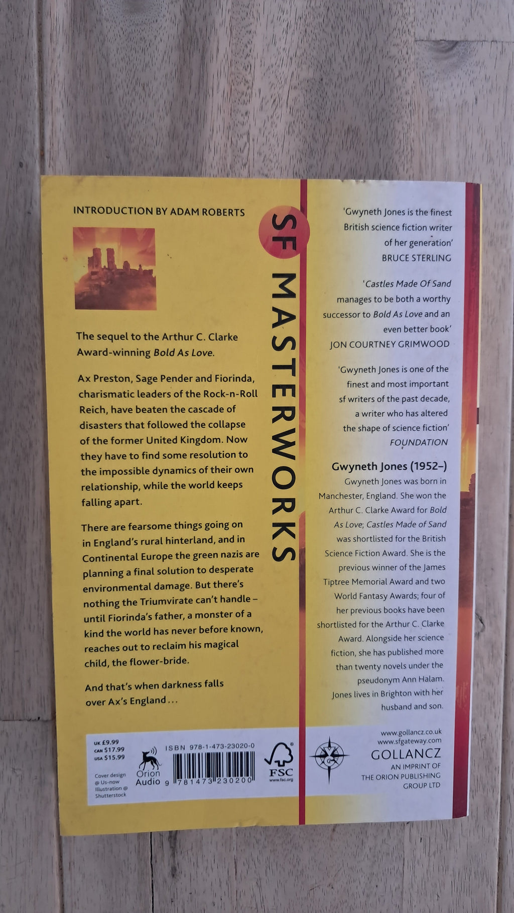 Castles Made of Sand – Gwyneth Jones