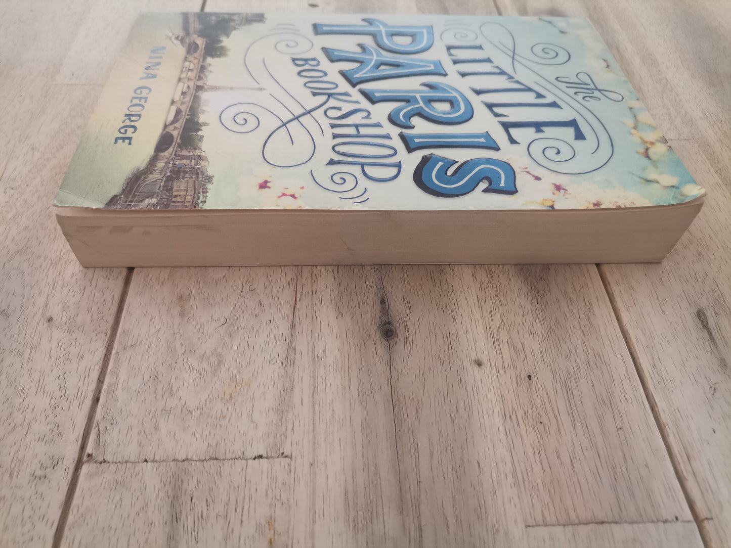 The Little Paris Bookshop by Nina George