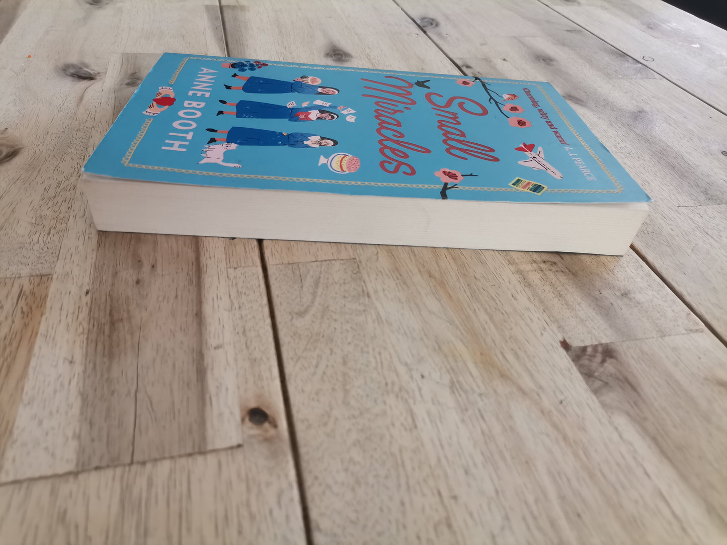 Small Miracles – Anne Booth