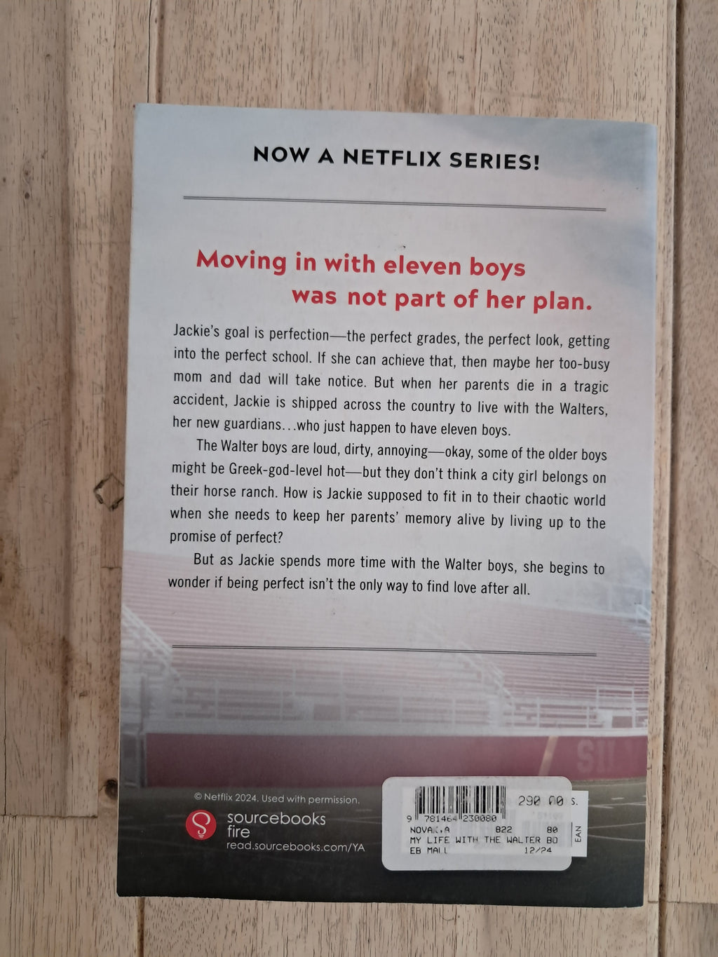 My Life with the Walter Boys (My Life with the Walter Boys #1) – Ali Novak