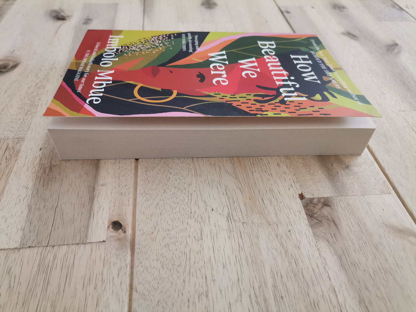 How Beautiful We Were – Imbolo Mbue