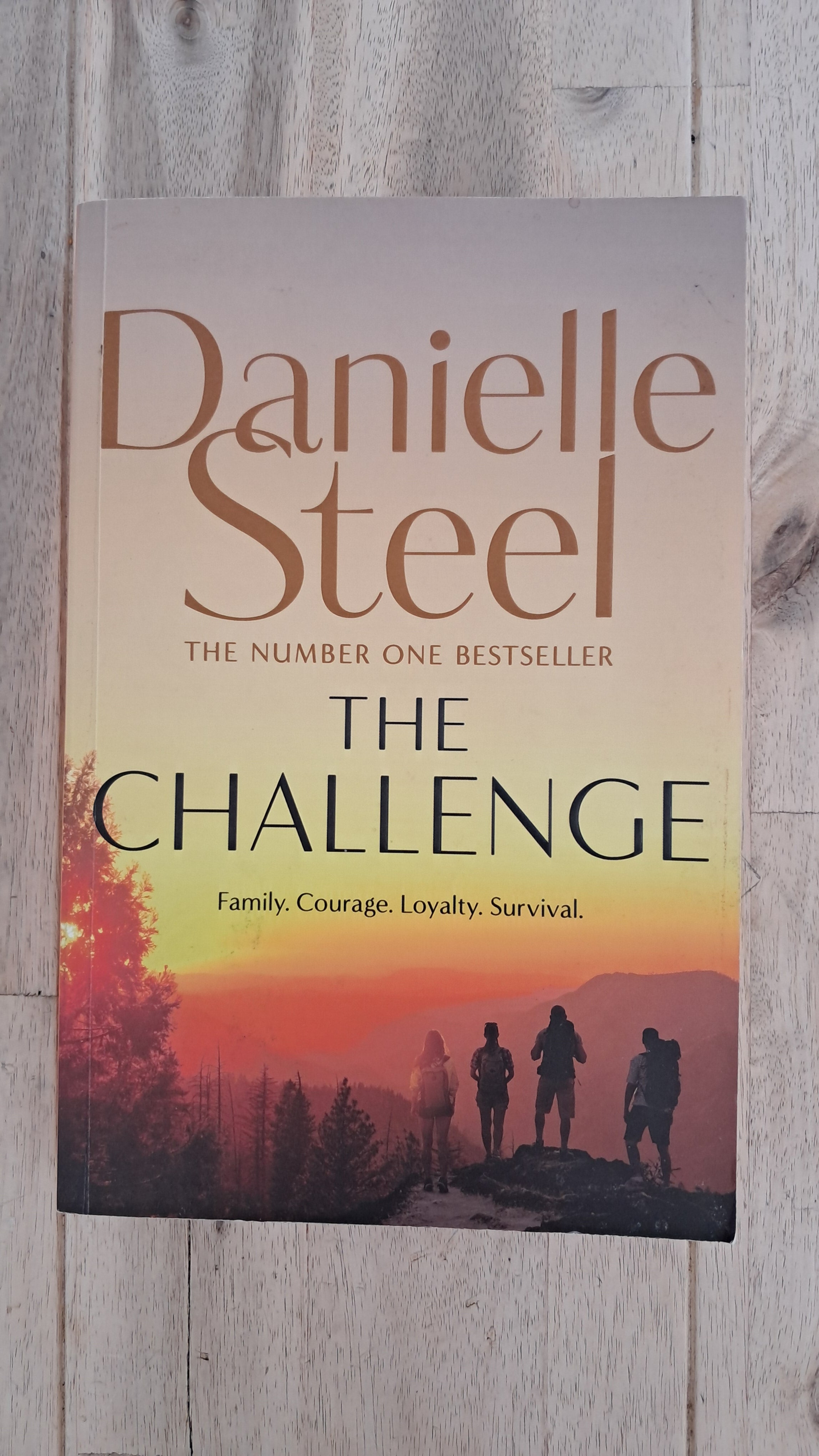 The Challenge – Danielle Steel