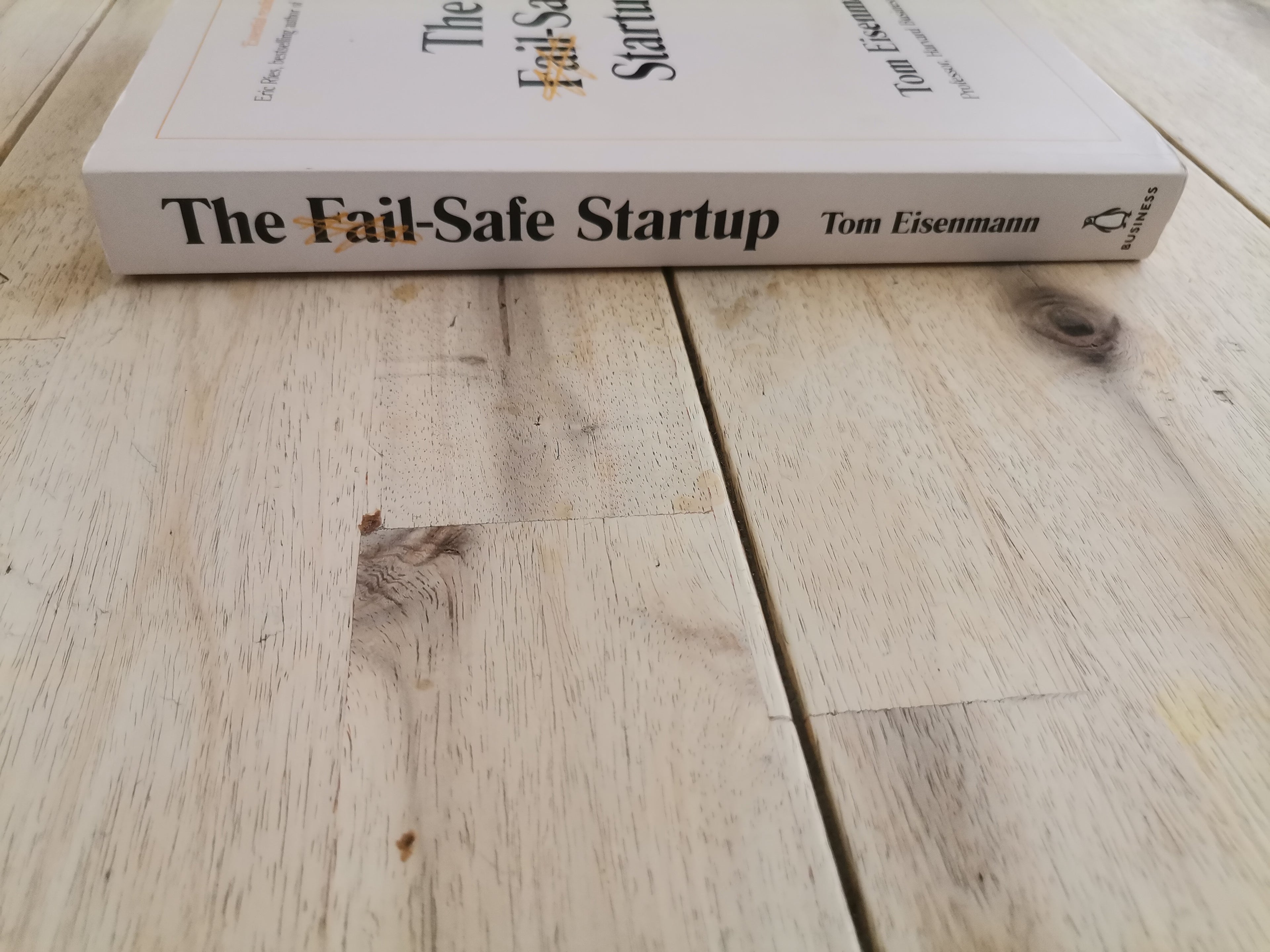 The Fail-Safe Startup: Why Most Startups Fail and How to Avoid It