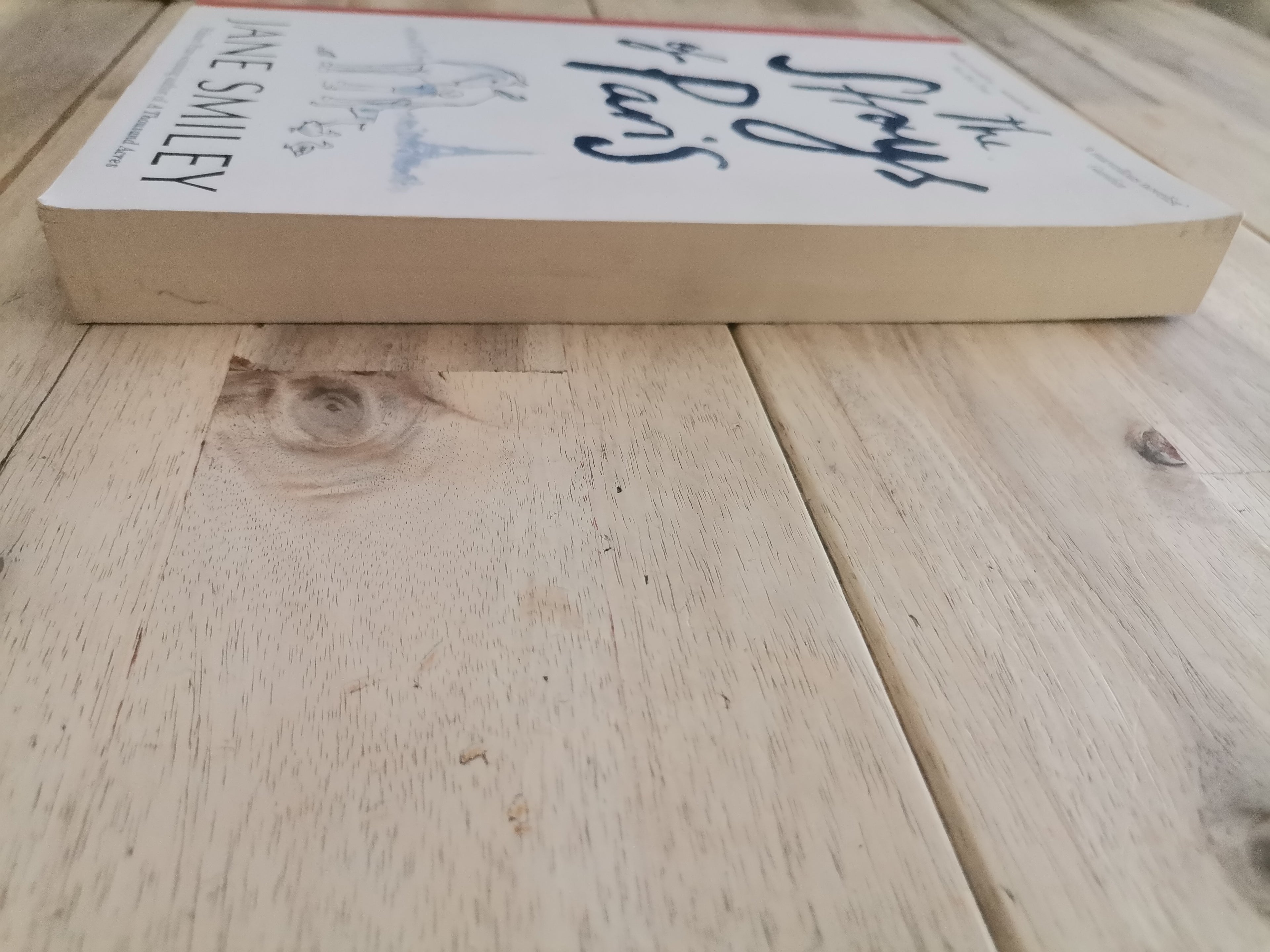 The Strays of Paris by Jane Smiley
