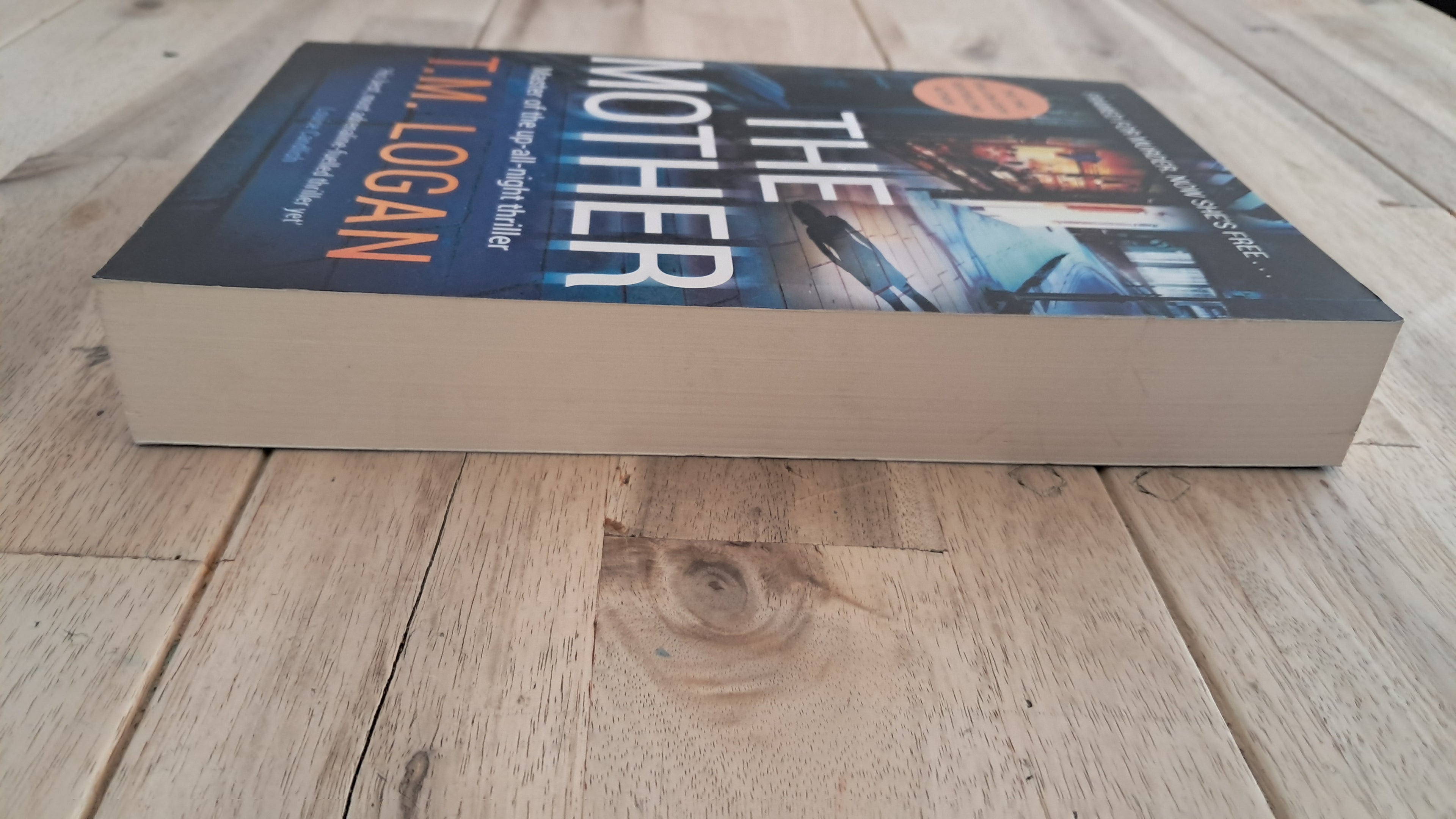 The Mother – T.M. Logan