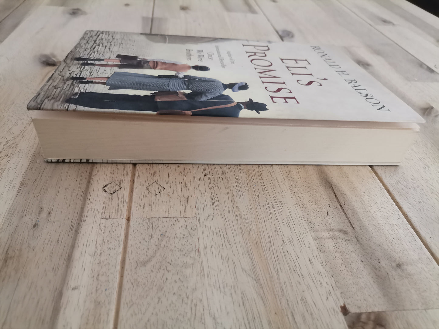 Eli's Promise – Ronald H. Balson